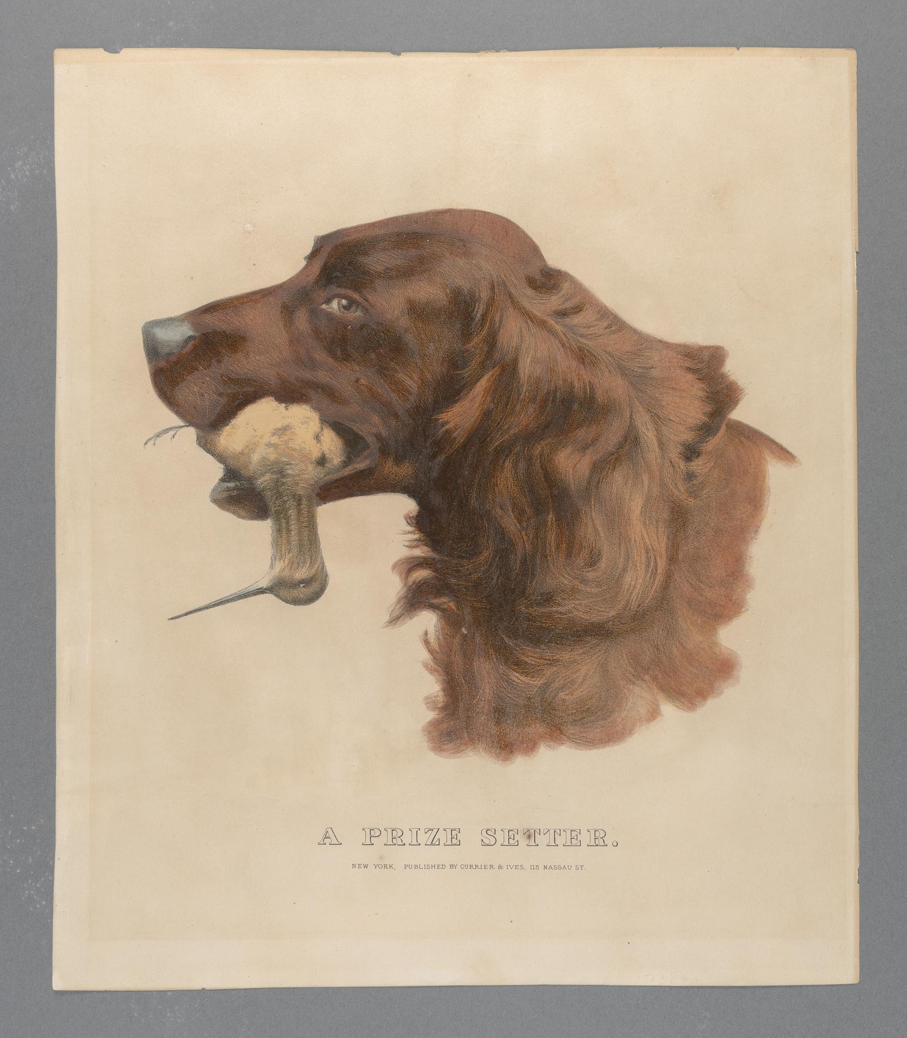 2000.0019.169 A Print, view 1