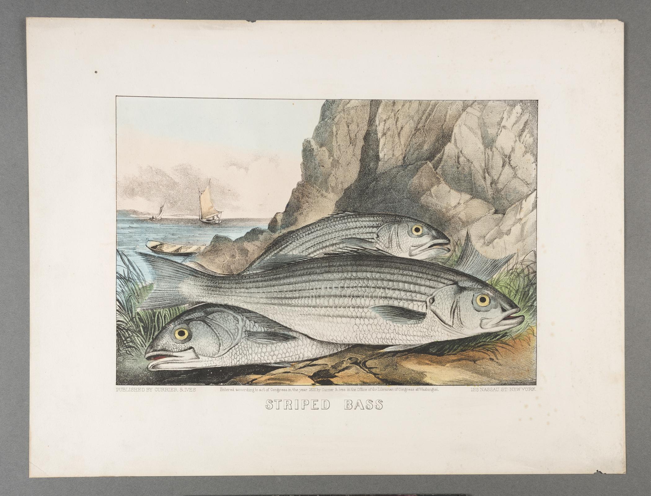 2000.0019.170 A Print, view 1