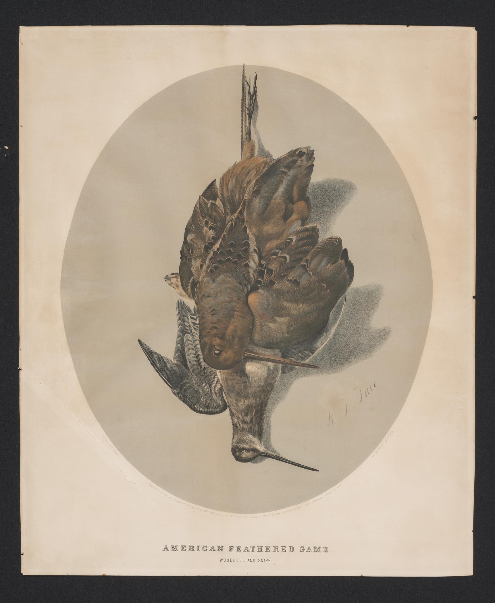 2000.0019.172 A Print, view 1