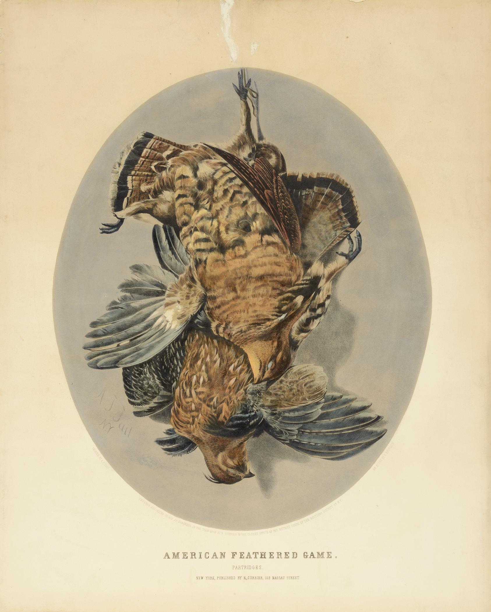 2000.0019.173 A Print, view 1