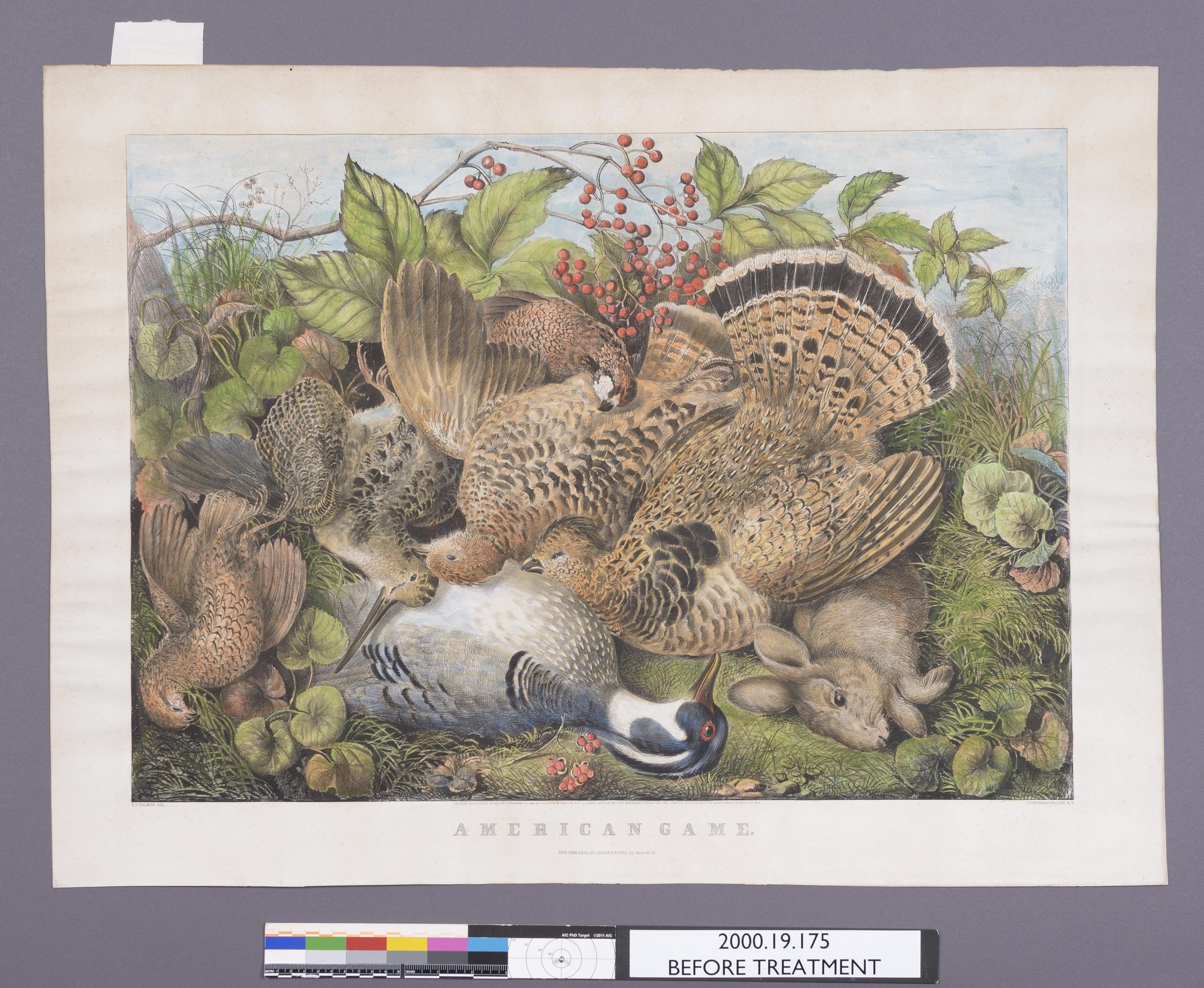 2000.0019.175 A Print, view 1, before conservation treatment
