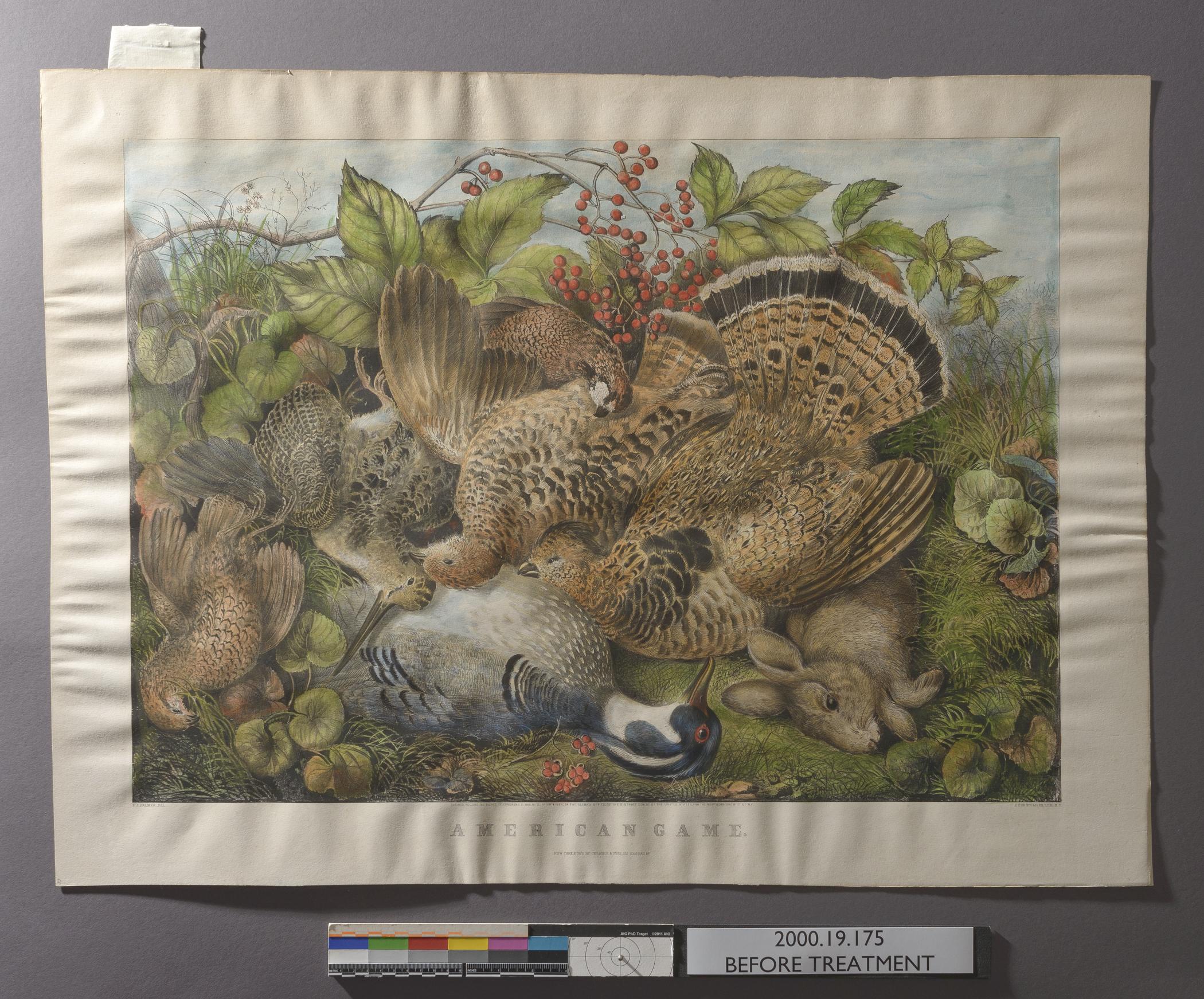 2000.0019.175 A Print, view 3, raking light, before conservation treatment
