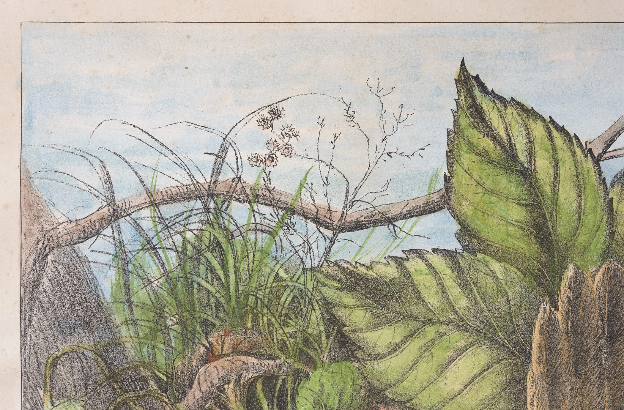 2000.0019.175 A Print, detail 1, before conservation treatment