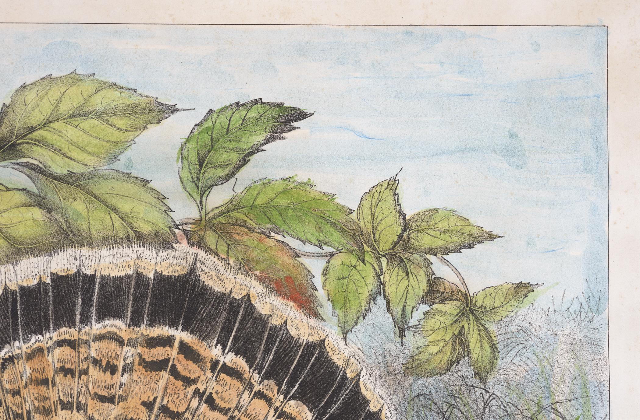 2000.0019.175 A Print, detail 2, before conservation treatment