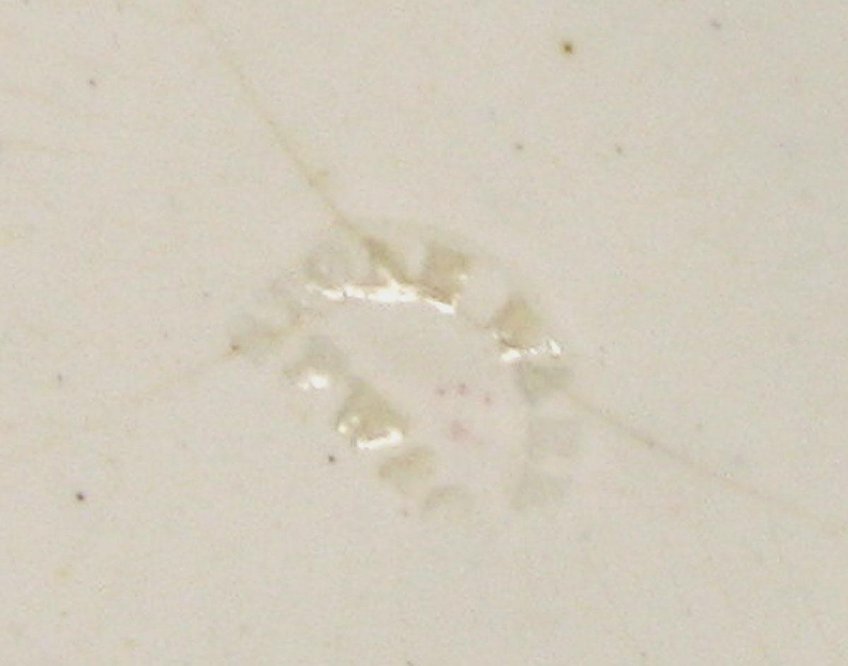 2000.0057.018 Saucer (mark)