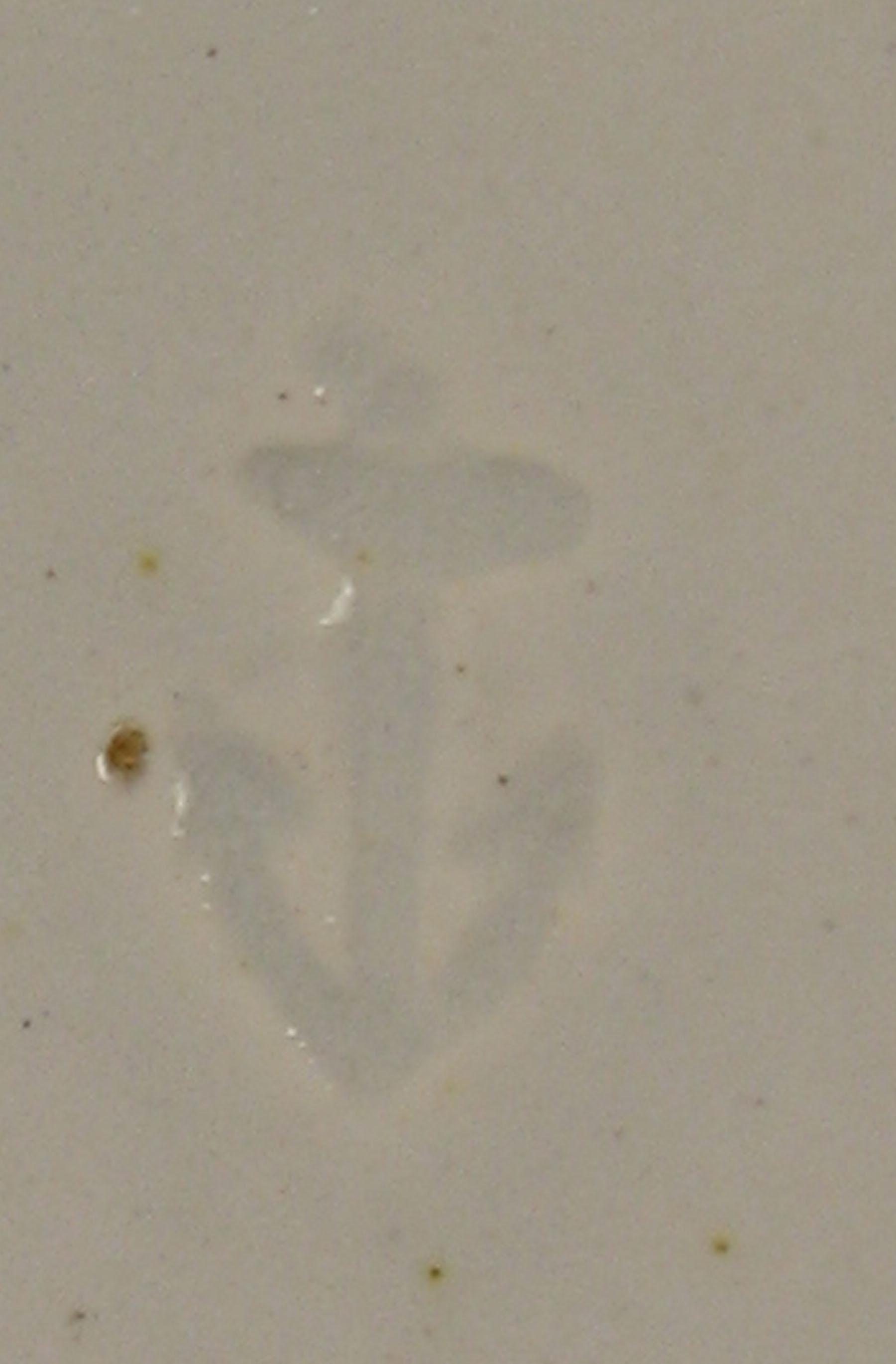 2000.0057.020 Saucer (mark)