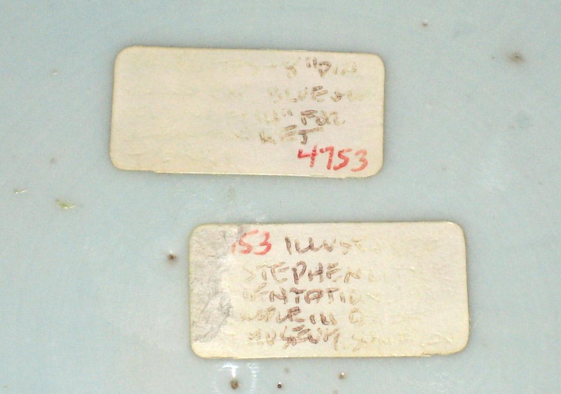 2000.0061.113 Plate tags