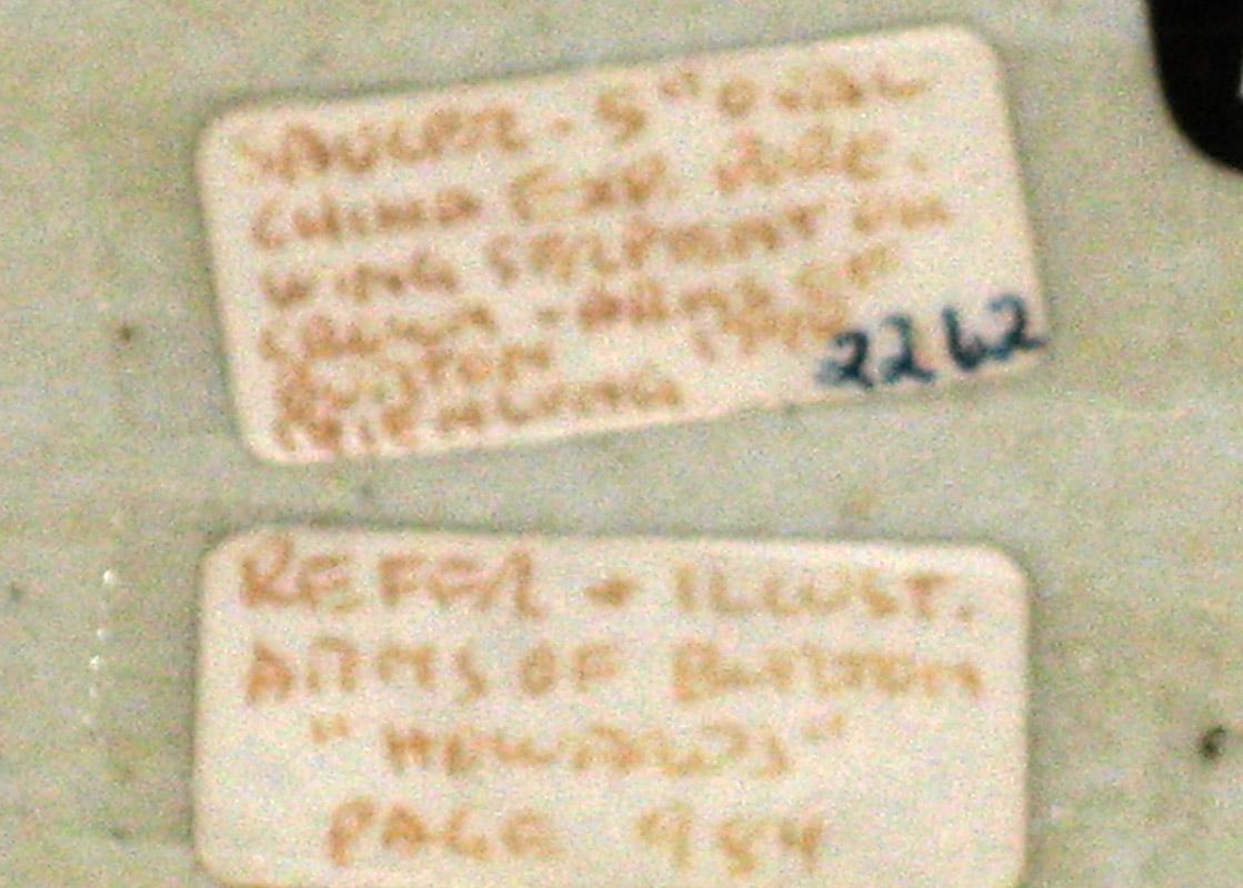 2000.0061.122 Dish tags