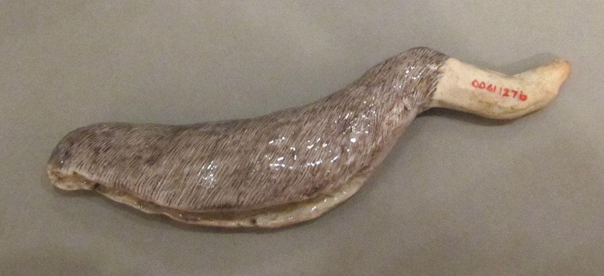 2000.0061.127 B Porcelain figure tail