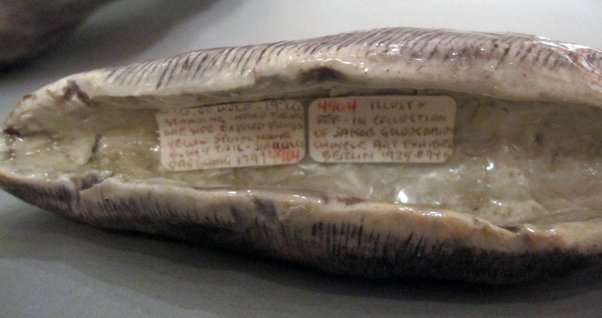 2000.0061.127 B Porcelain figure tail label