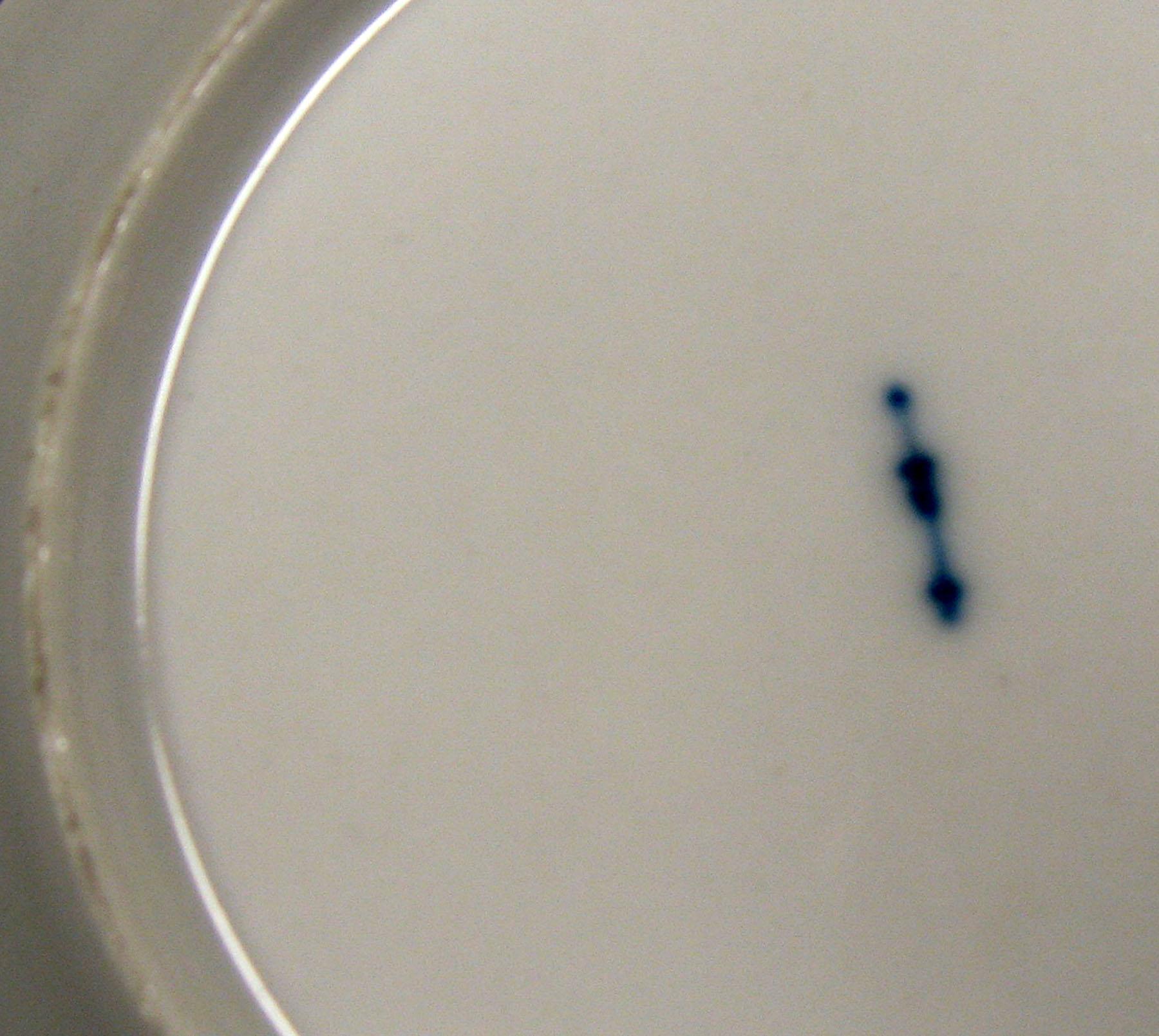 2001.0003.019.009 B Saucer (mark)