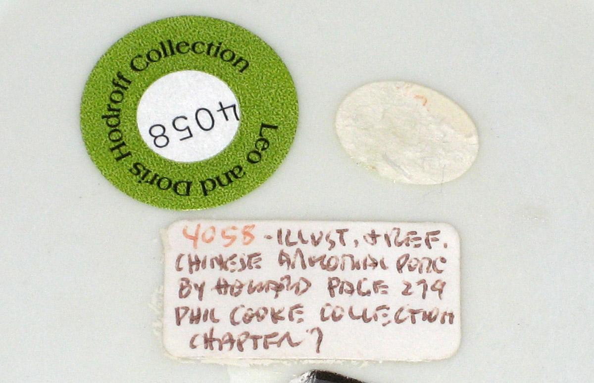 2001.0029.022 Saucer tags