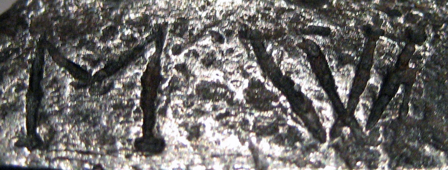 2001.0033.275 Flintlock tool (mark 1)