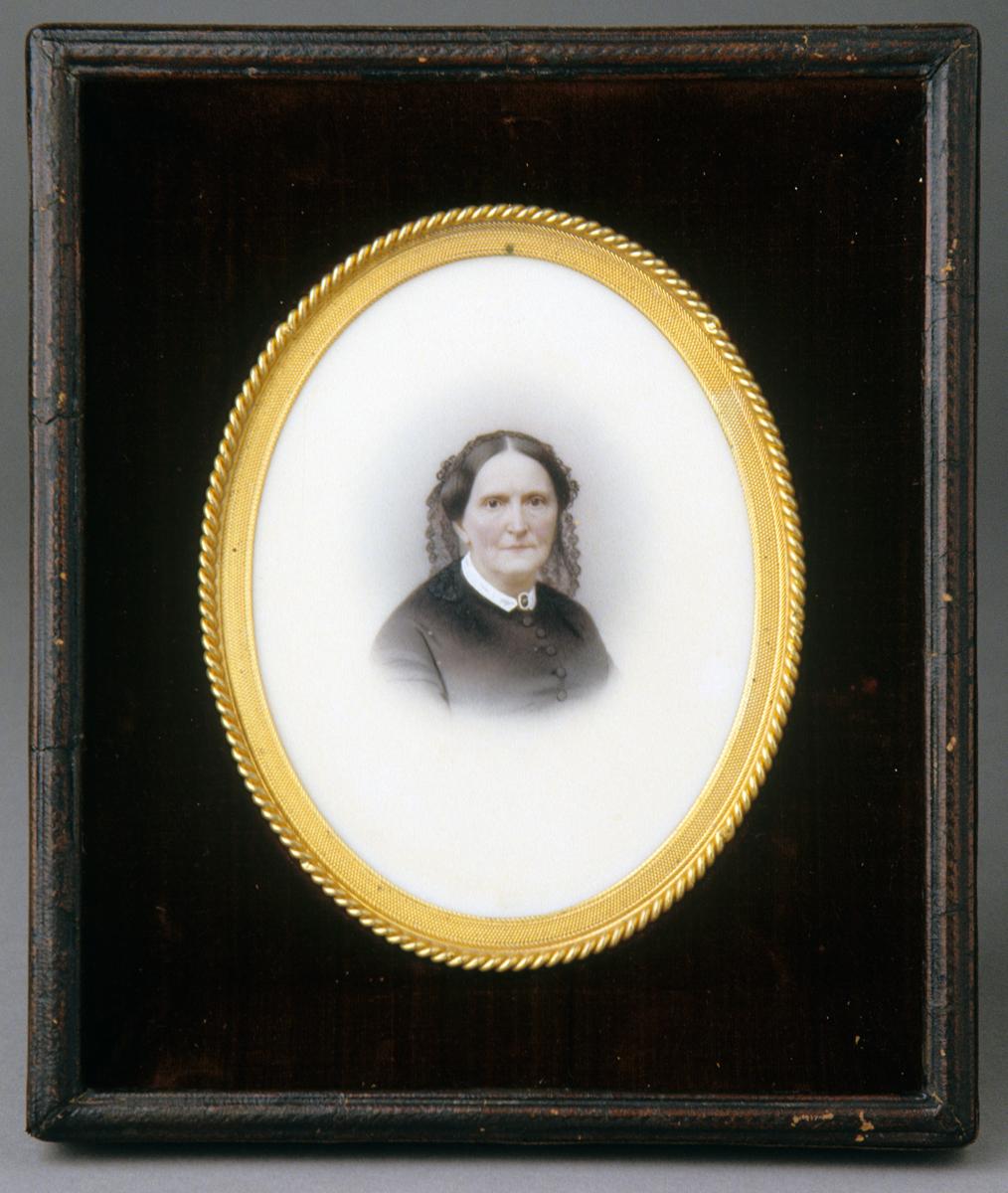2001.0043.006 Opalotype