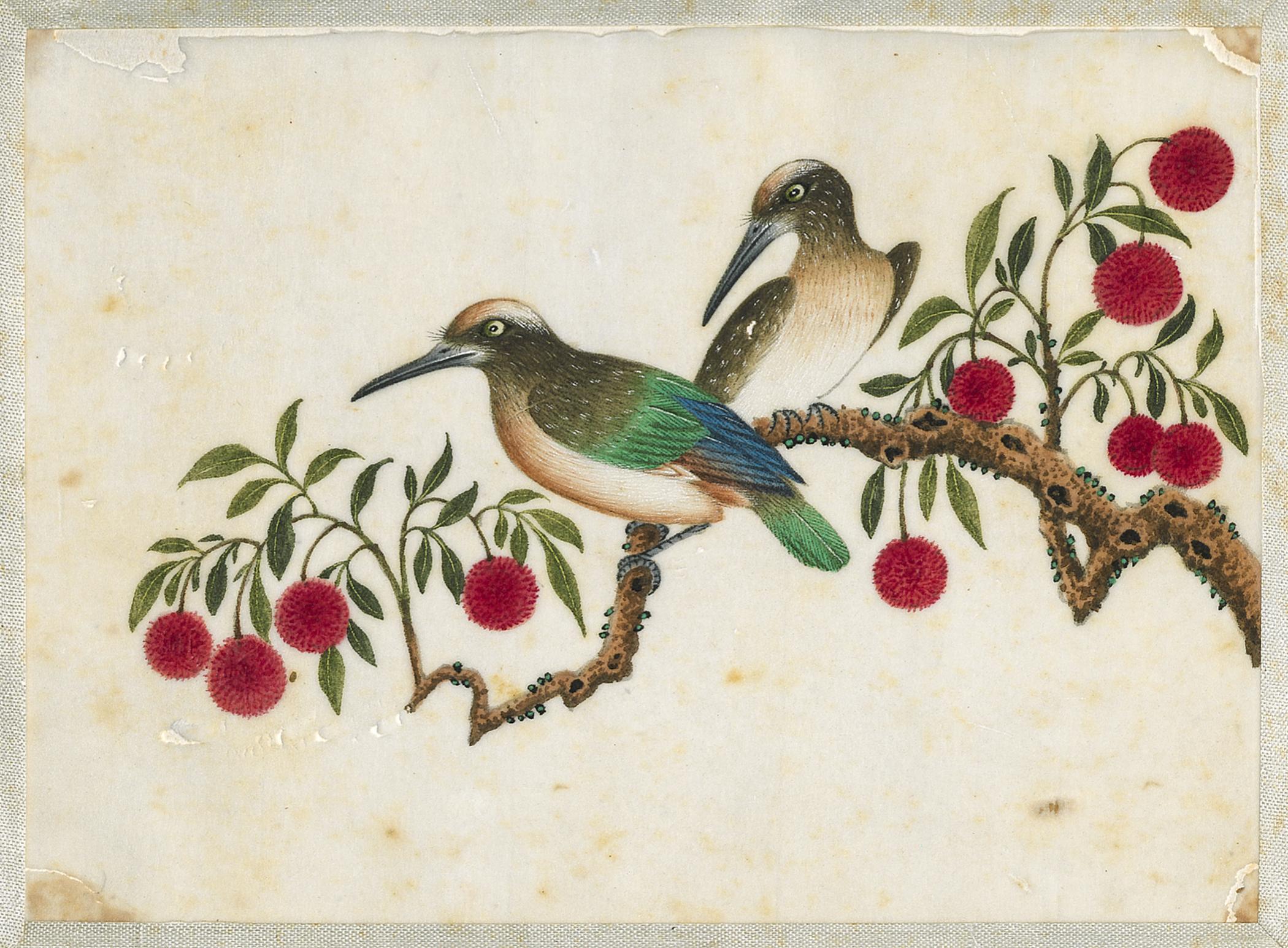 2002.0013 Album, Page 7, detail 1