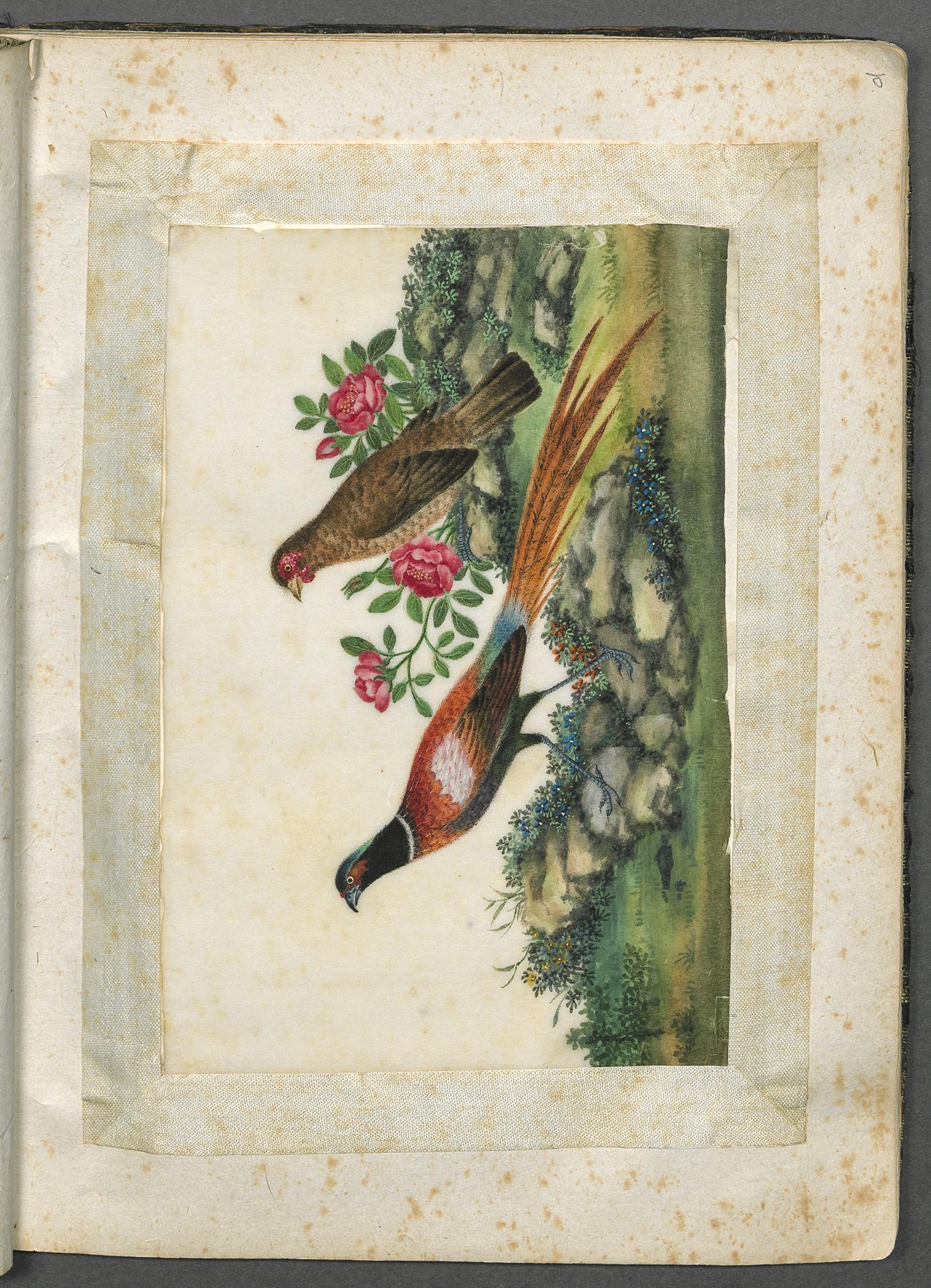 2002.0013 Album, Page 9