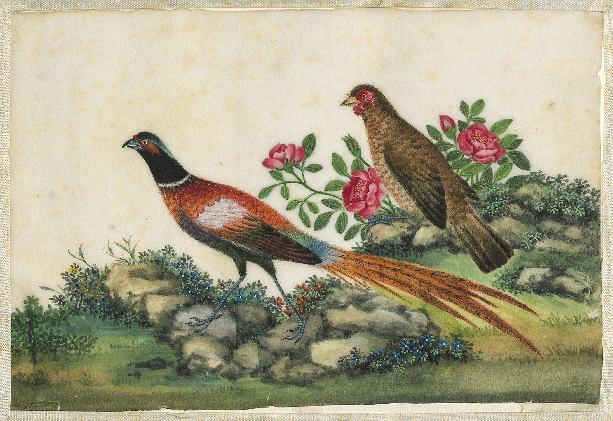 2002.0013 Album, Page 9, detail 1