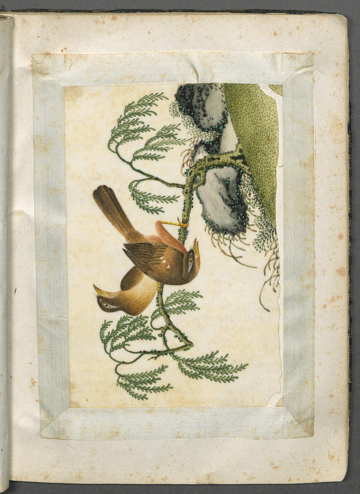 2002.0013 Album, Page 11