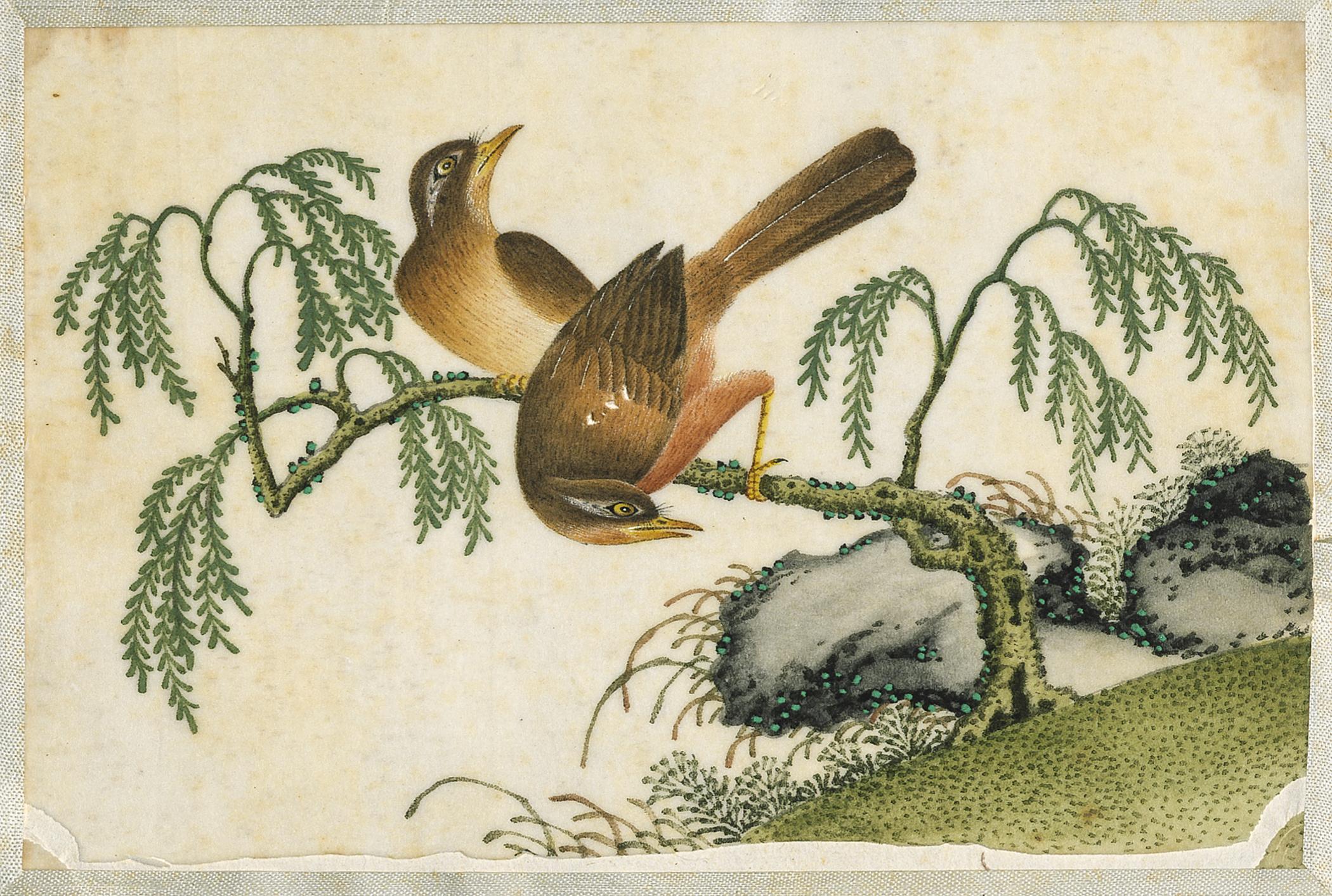 2002.0013 Album, Page 11, detail 1