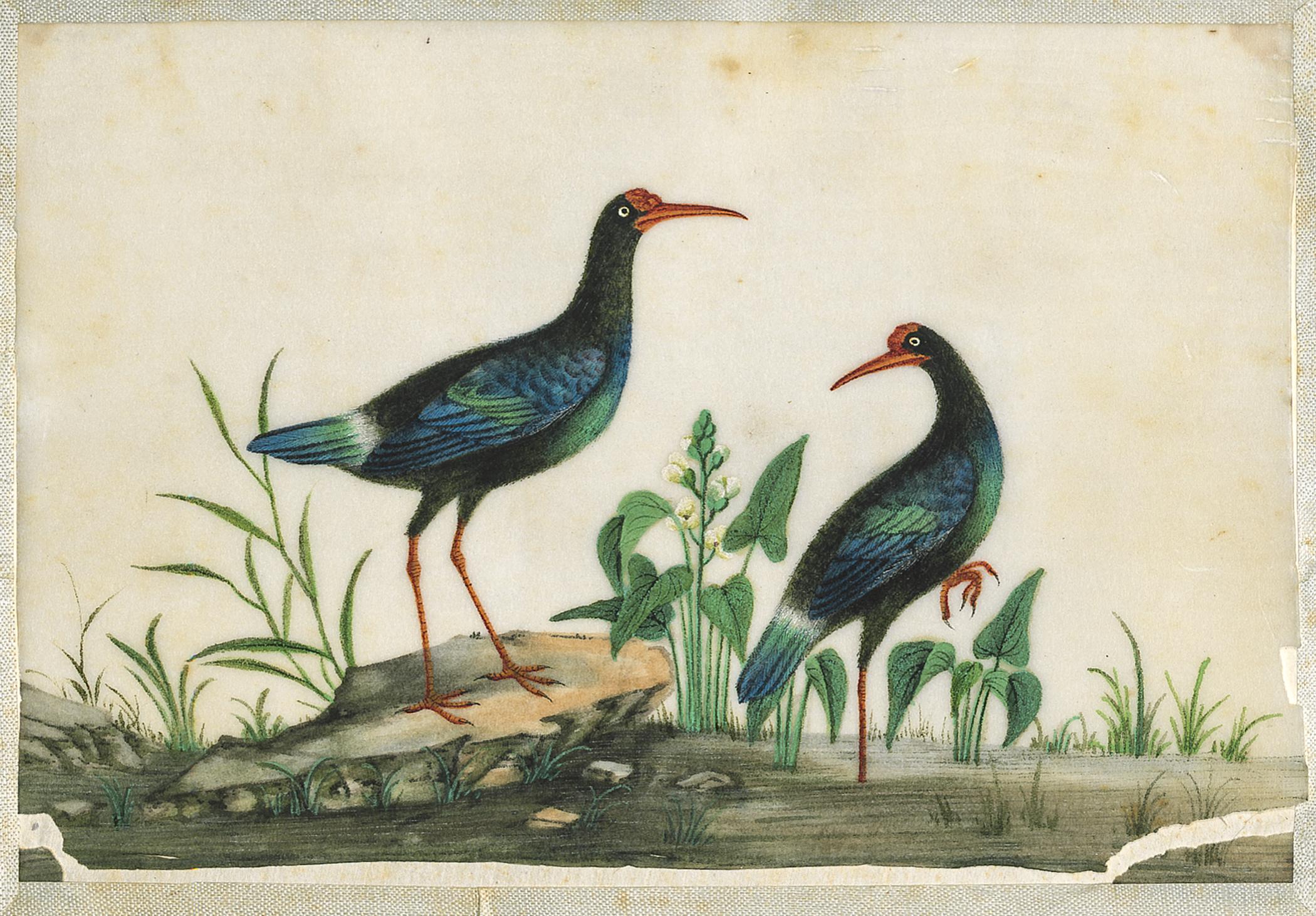2002.0013 Album, Page 13, detail 1