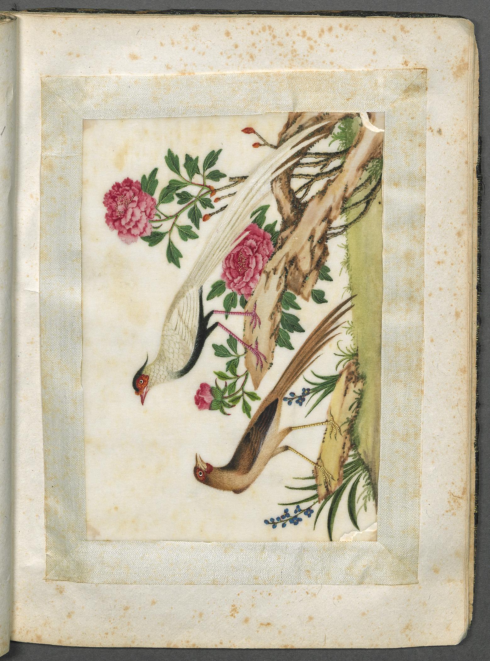 2002.0013 Album, Page 15