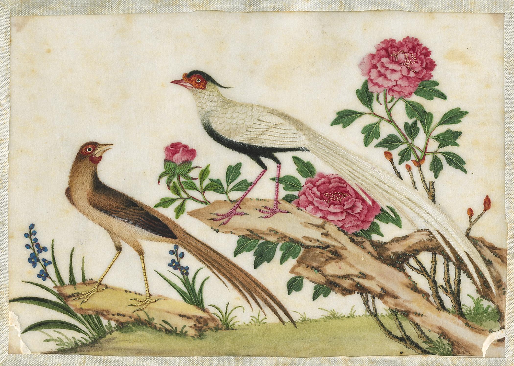 2002.0013 Album, Page 15, detail 1