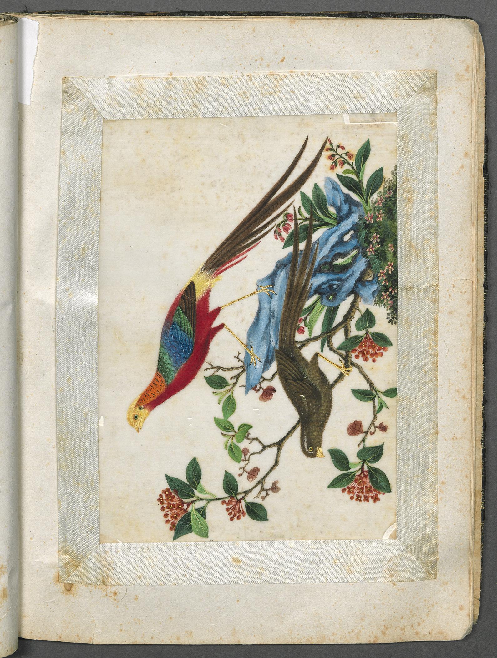2002.0013 Album, Page 17