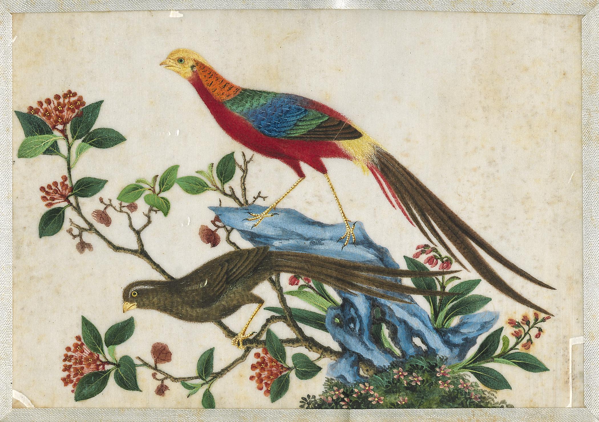2002.0013 Album, Page 17, detail 1