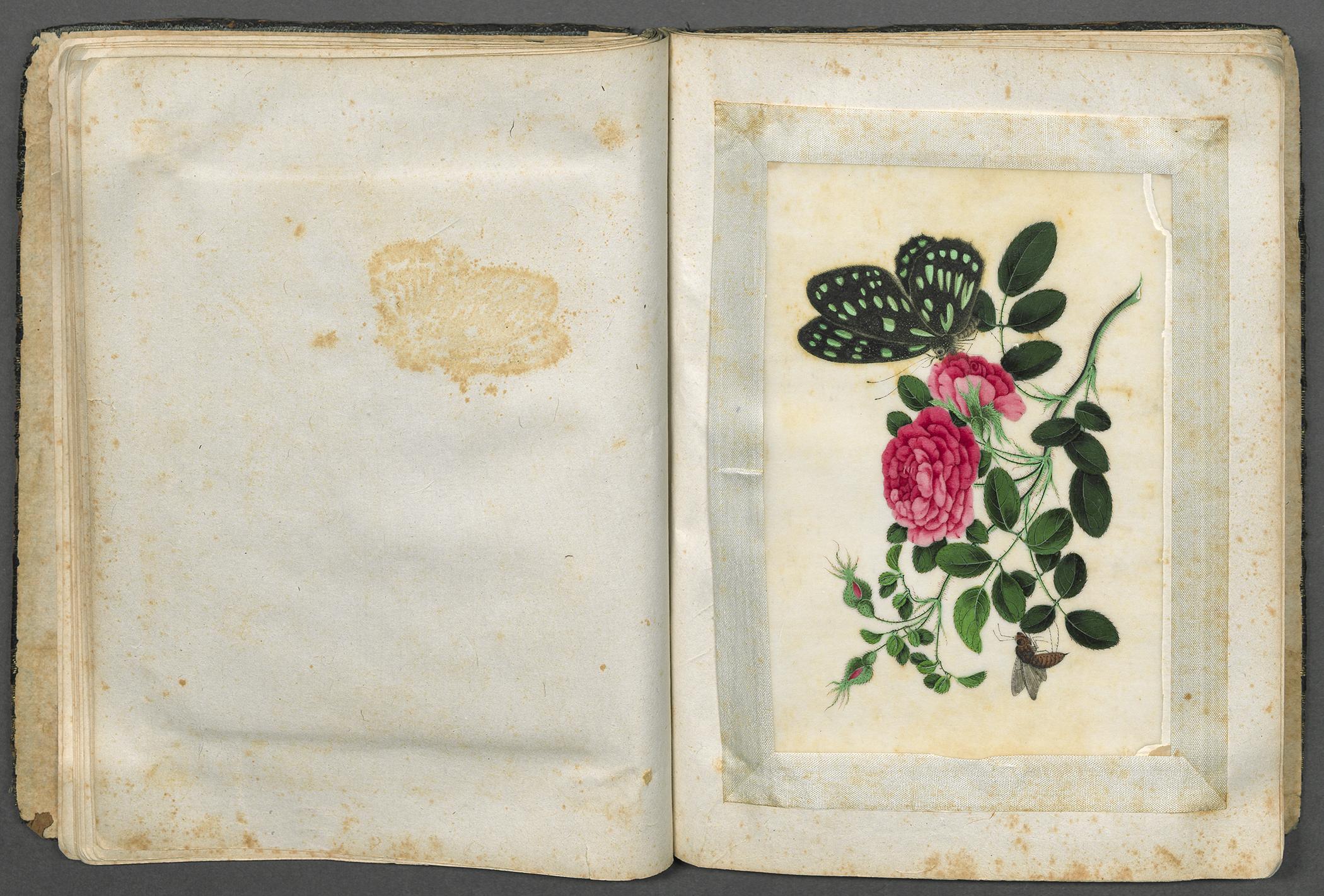 2002.0013 Album, Pages 18 and 19