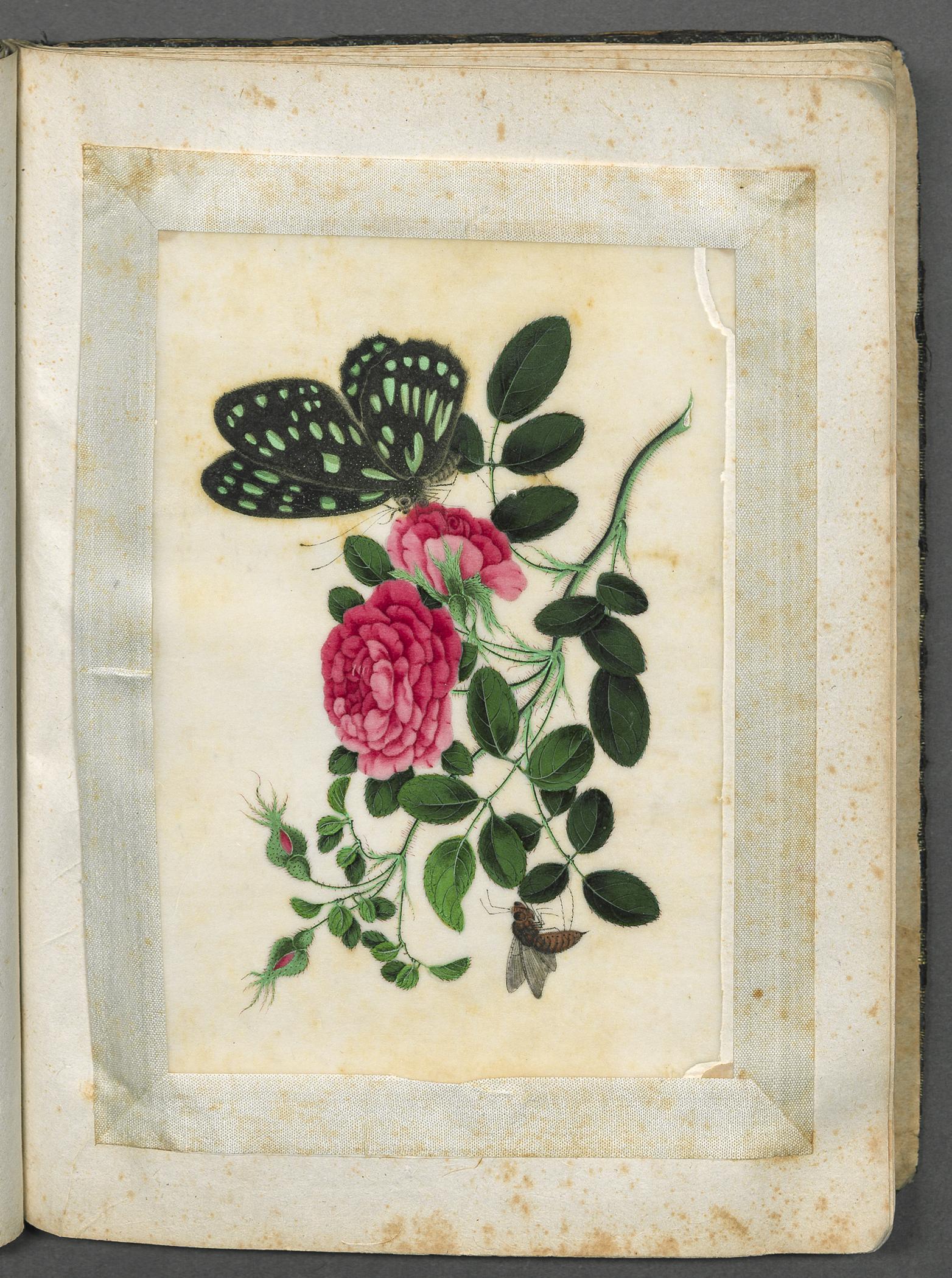 2002.0013 Album, Page 19