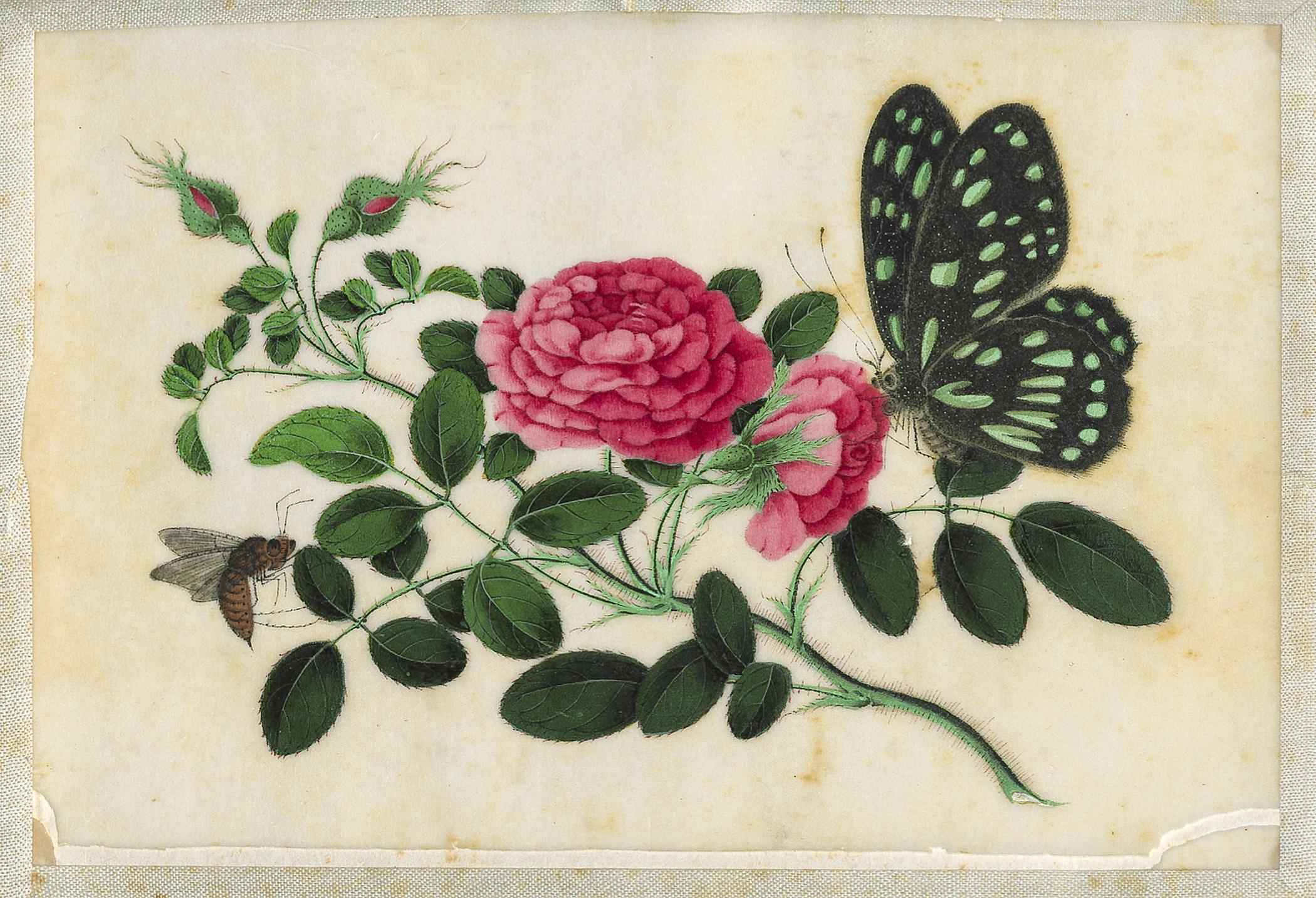 2002.0013 Album, Page 19, detail 1