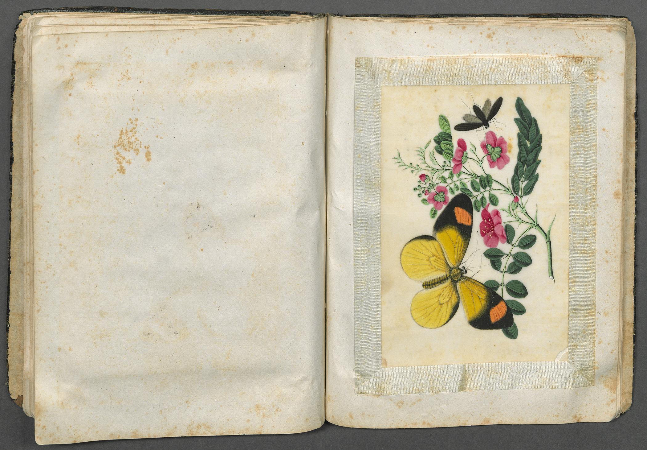 2002.0013 Album, Pages 20 and 21