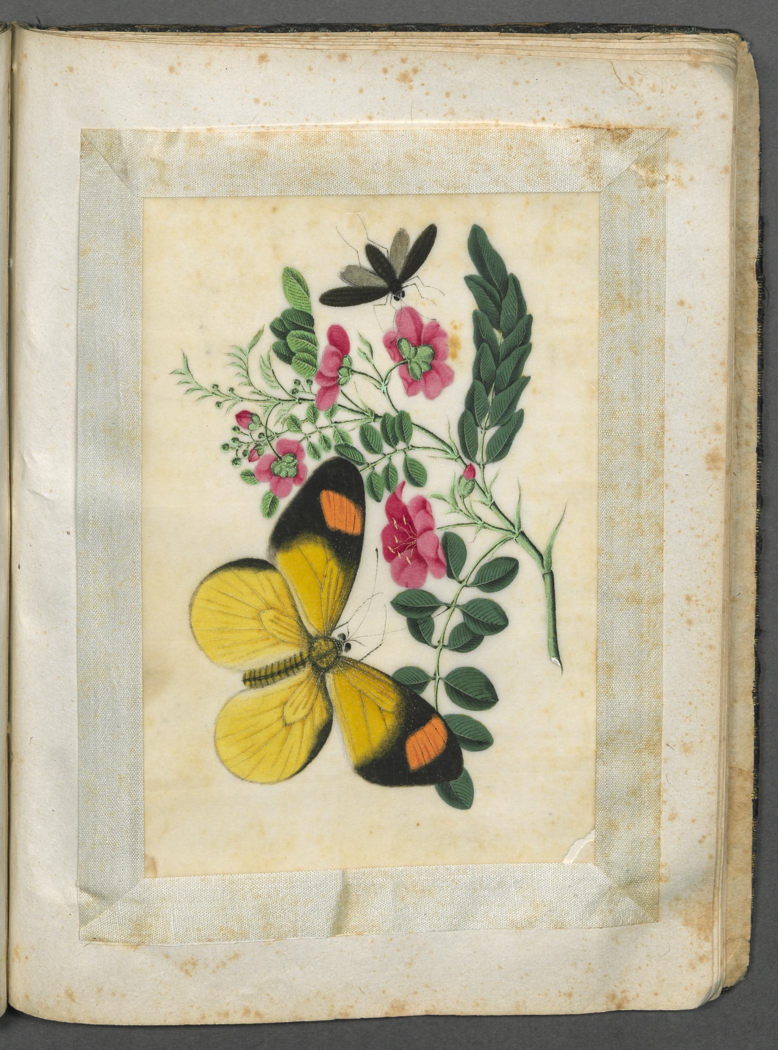 2002.0013 Album, Page 21