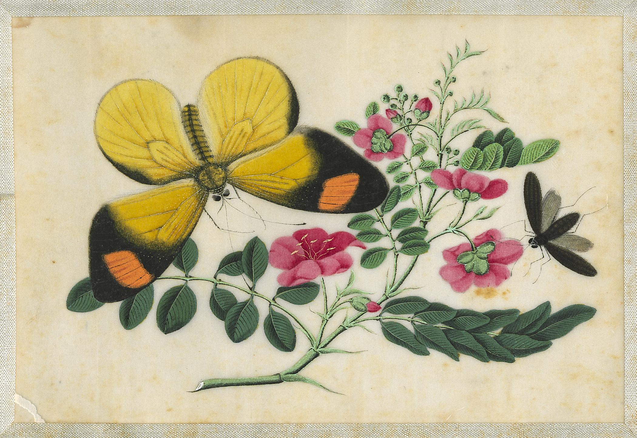2002.0013 Album, Page 21, detail 1