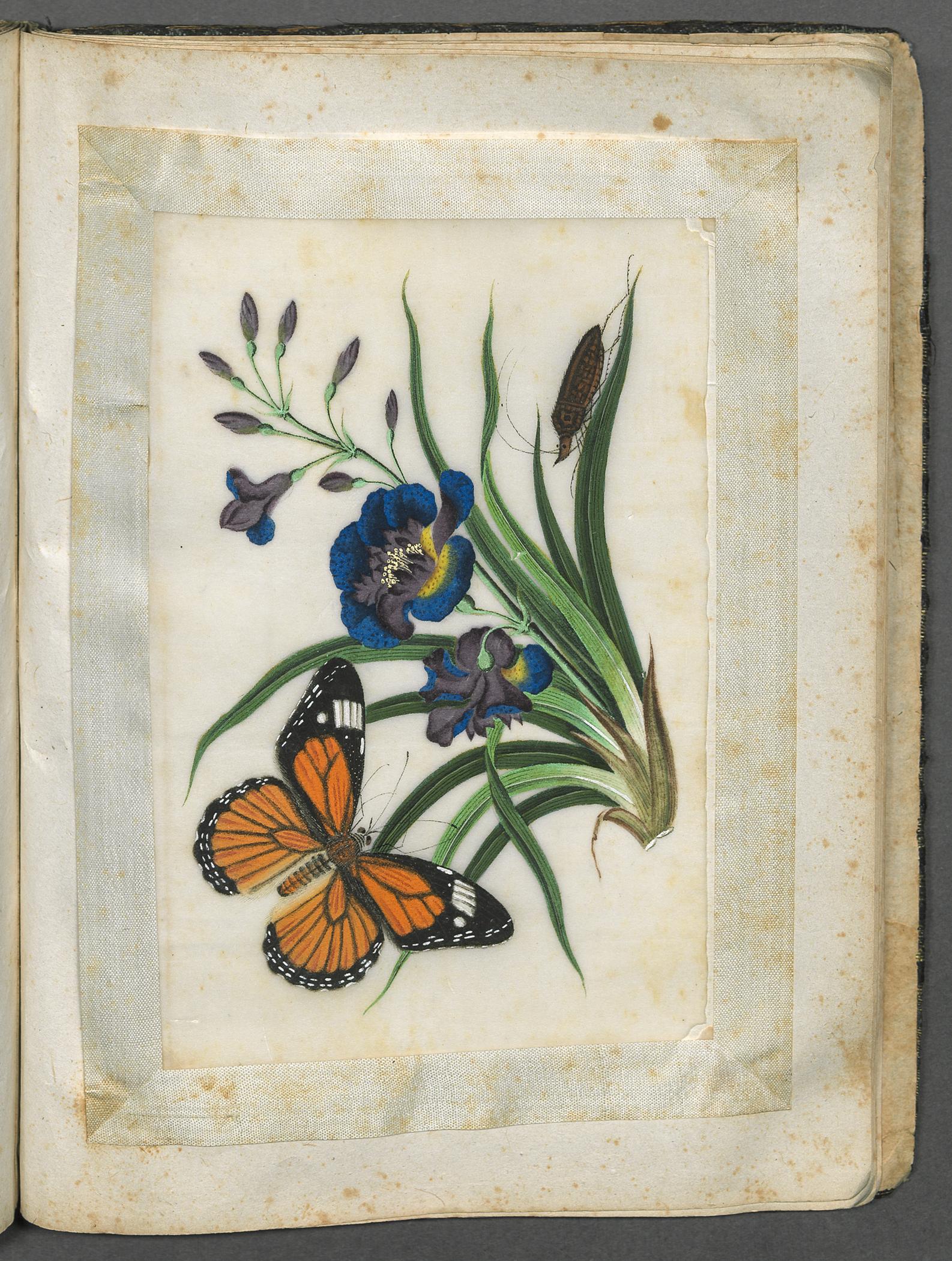 2002.0013 Album, Page 23