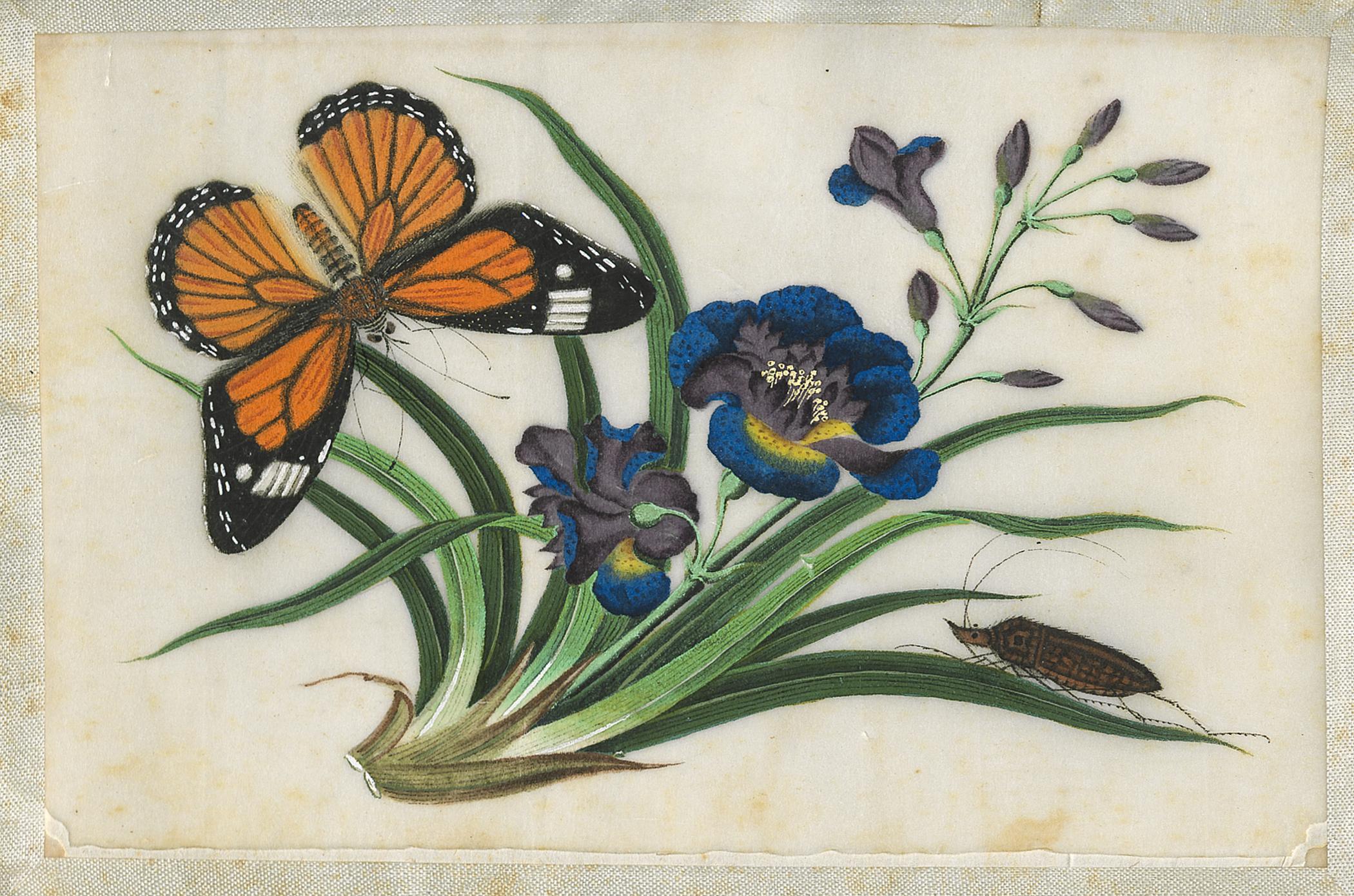 2002.0013 Album, Page 23, detail 1