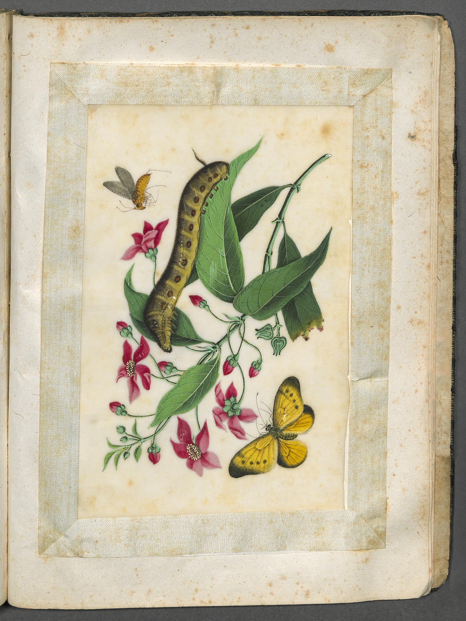 2002.0013 Album, Page 25