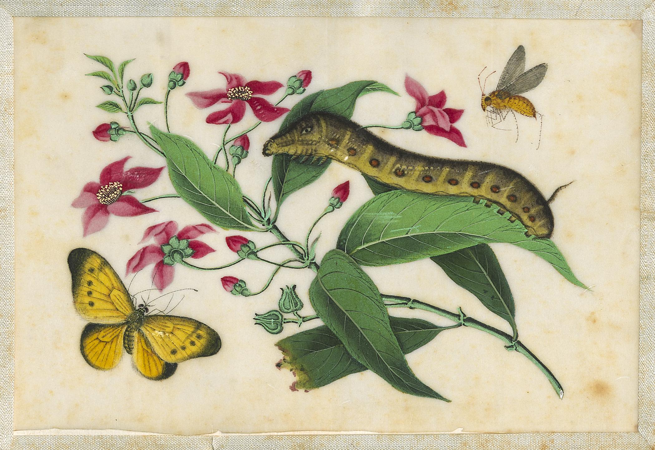 2002.0013 Album, Page 25, detail 1