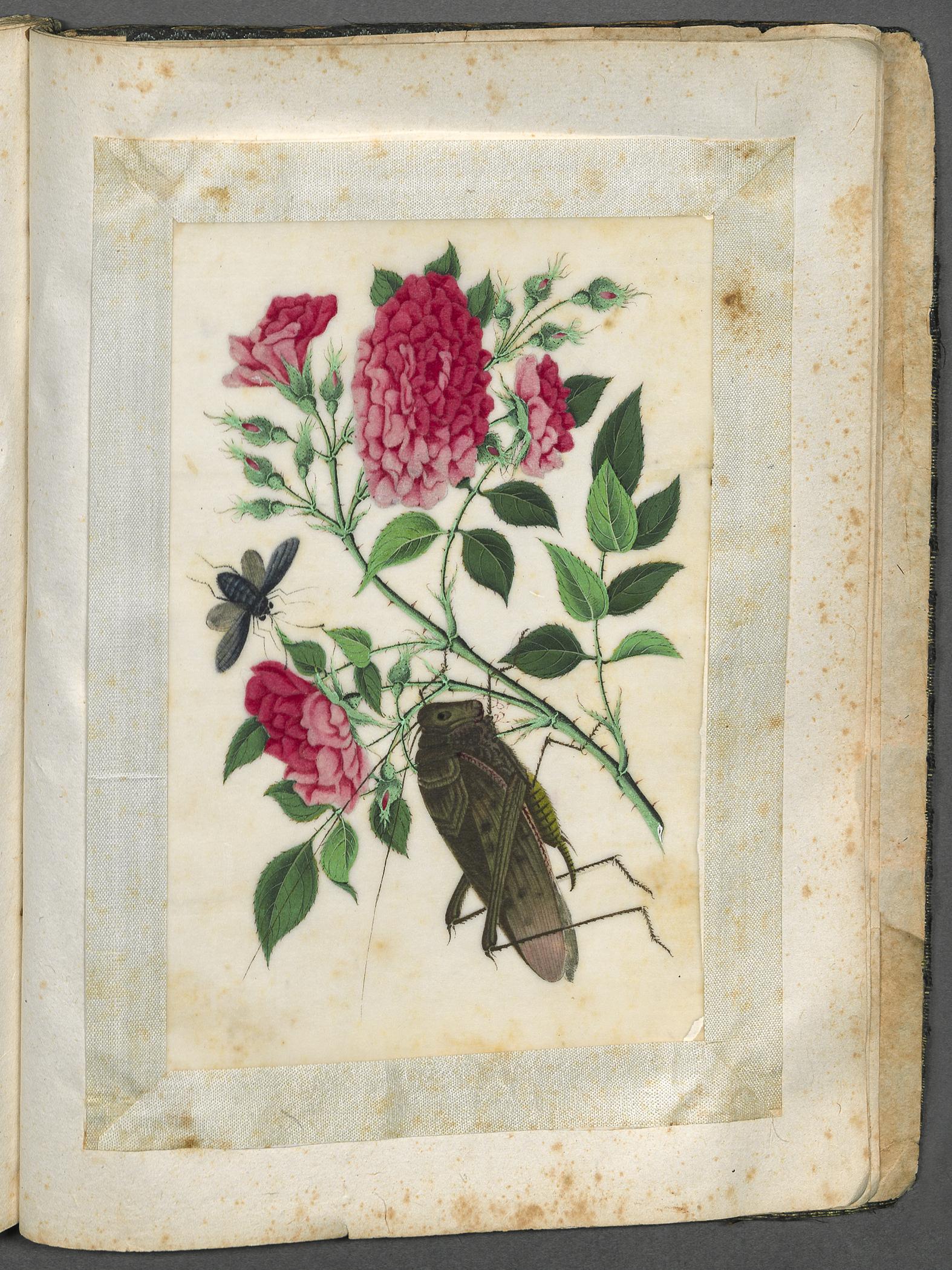 2002.0013 Album, Page 27