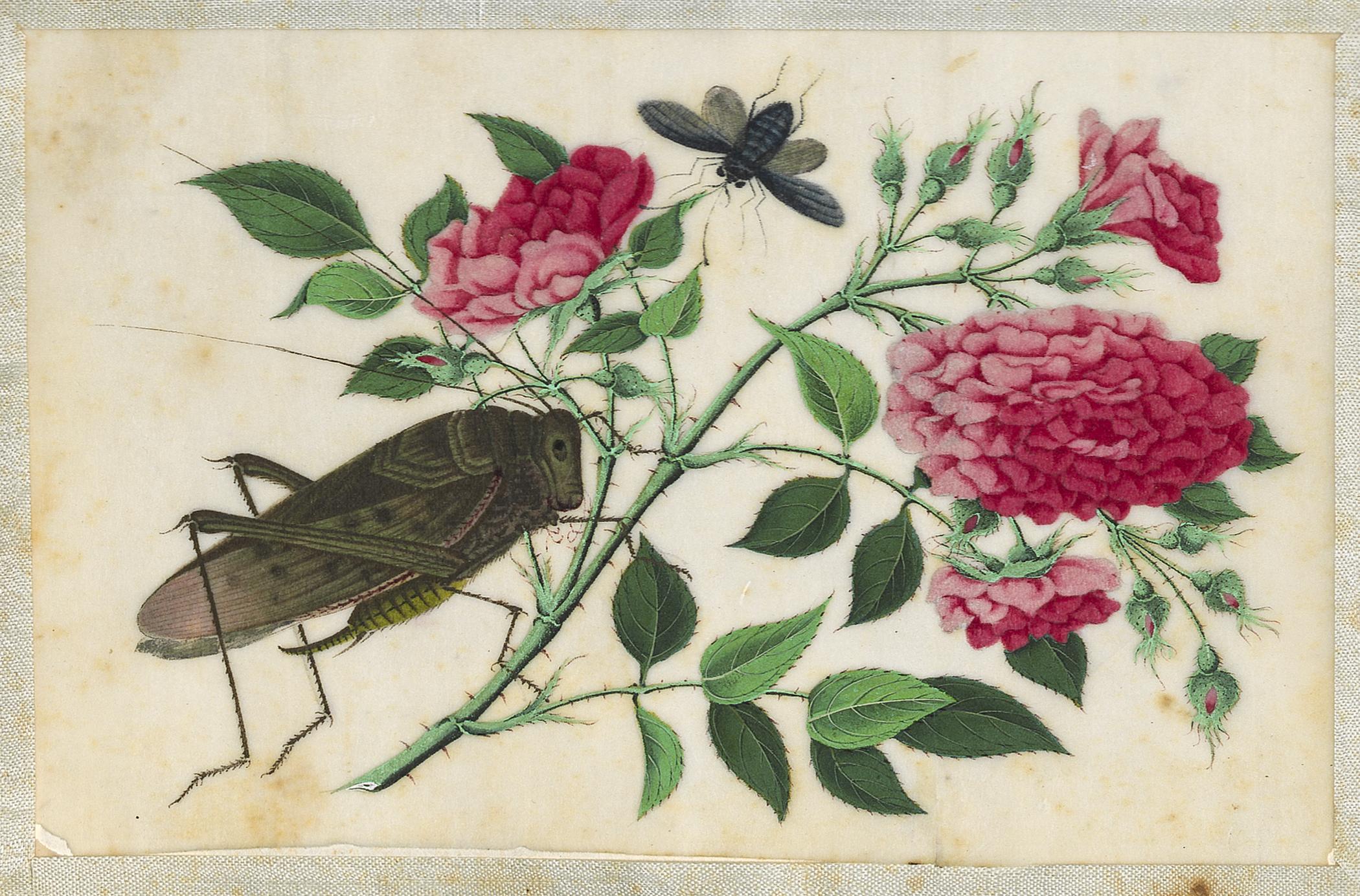 2002.0013 Album, Page 27, detail 1