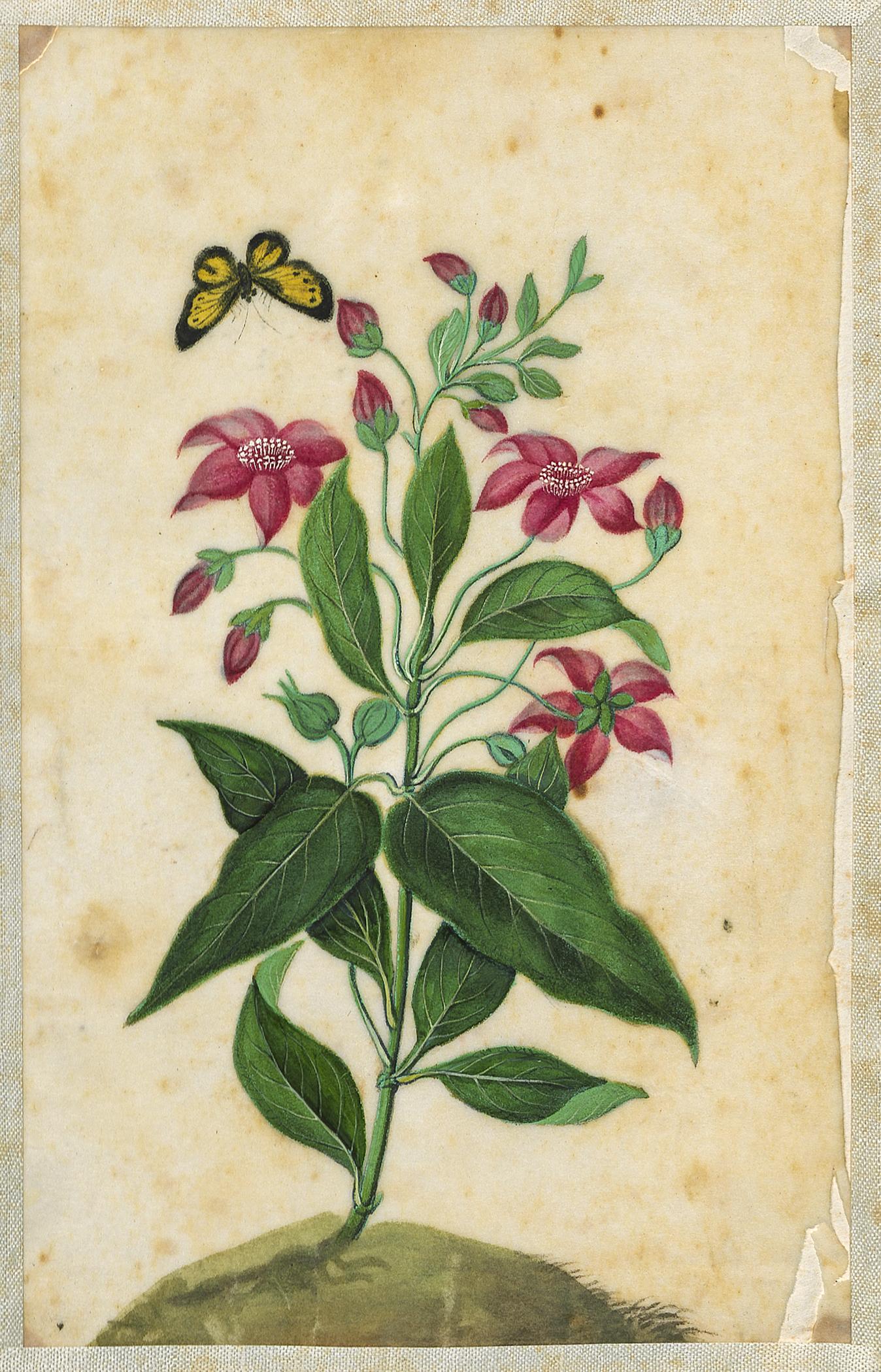 2002.0013 Album, Page 31, detail 1