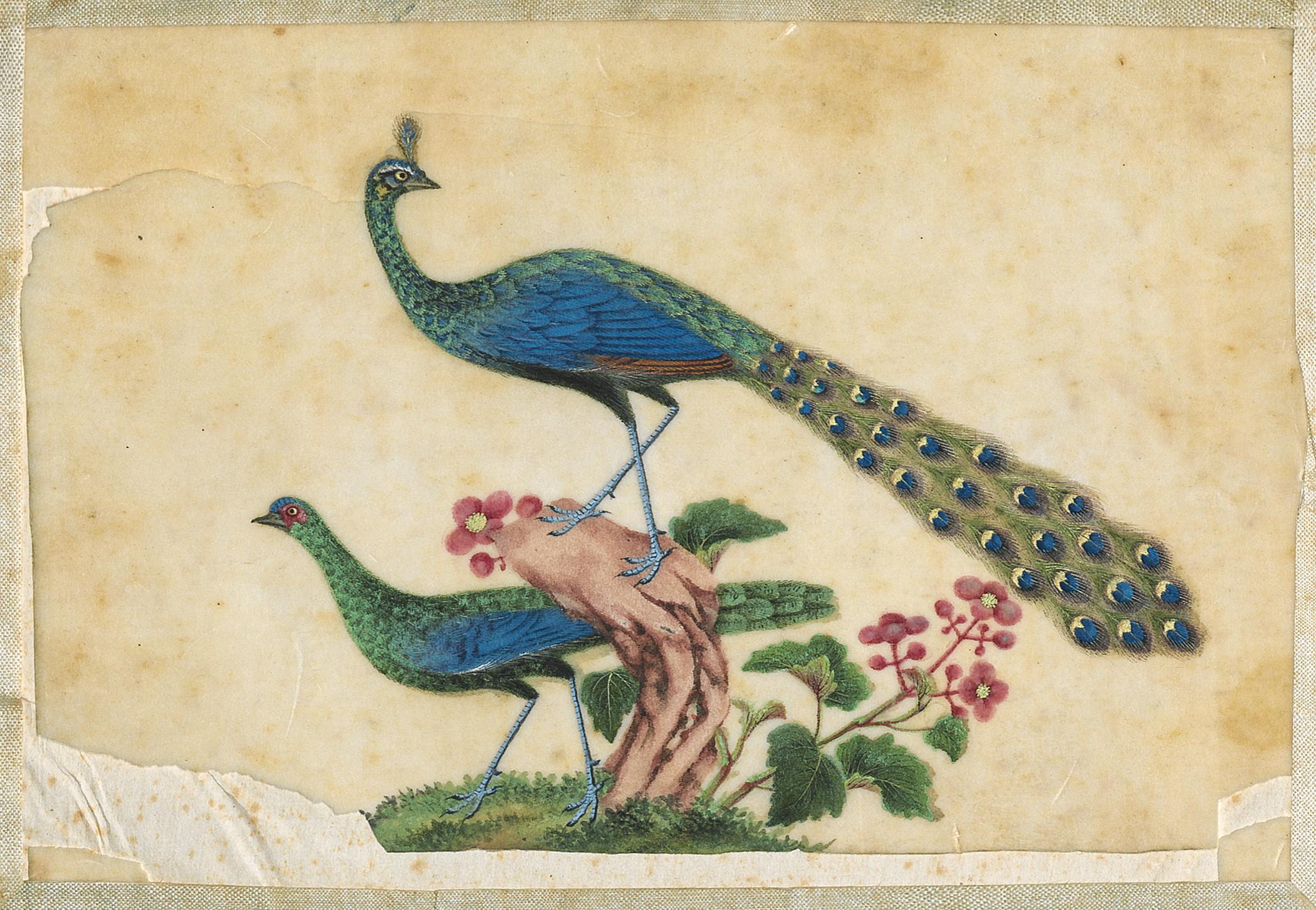 2002.0013 Album, Page 3, detail 1