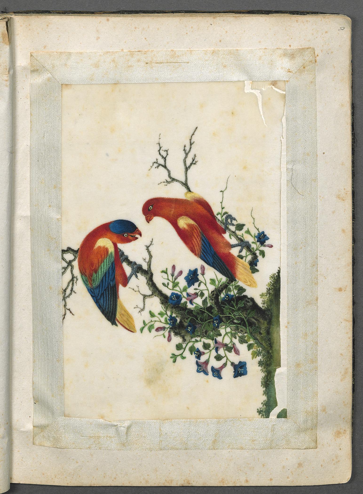 2002.0013 Album, Page 5