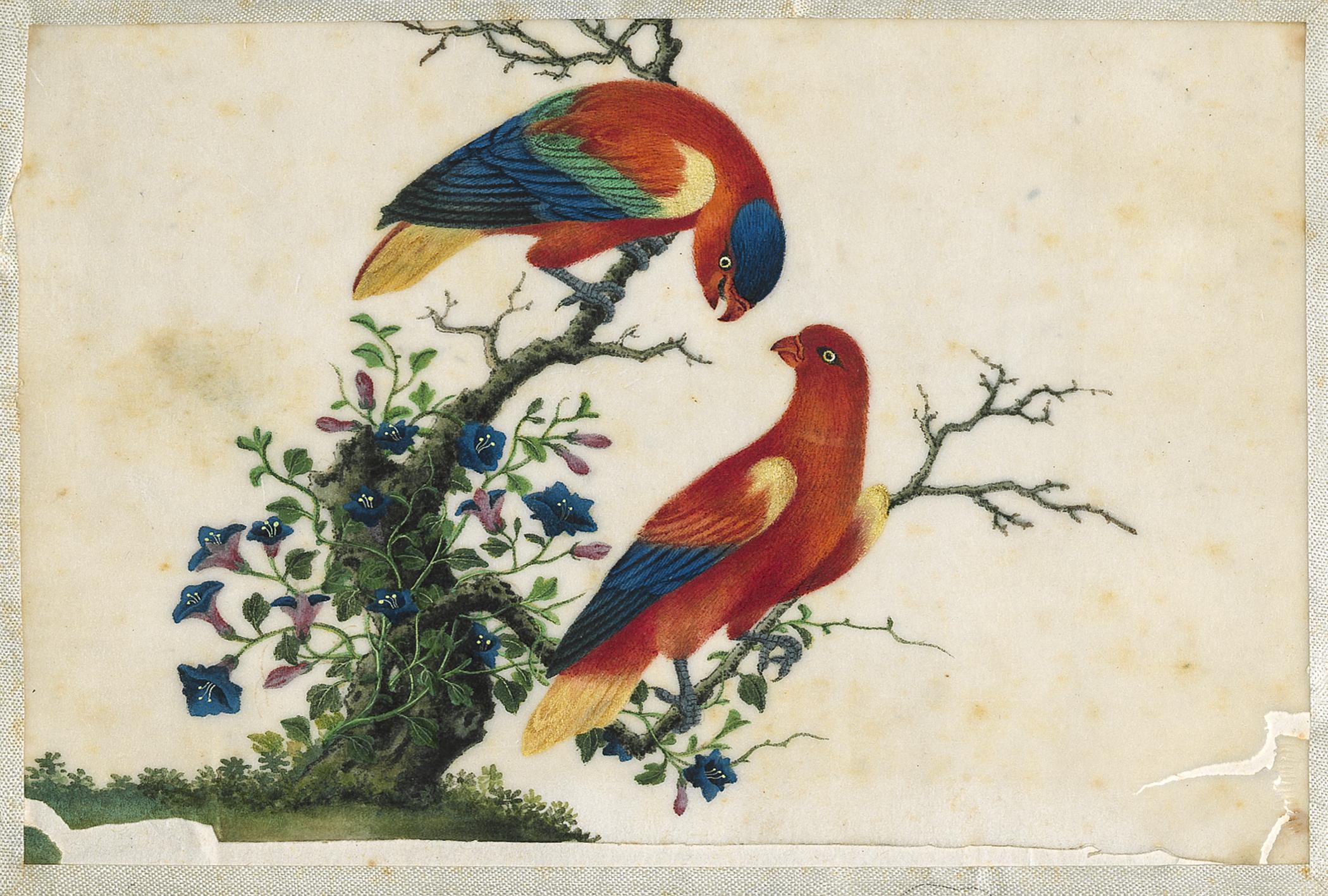 2002.0013 Album, Page 5, detail 1
