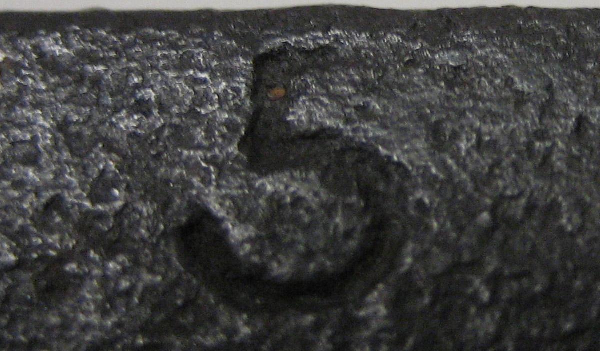 2003.0005.002 Scale (mark 6)