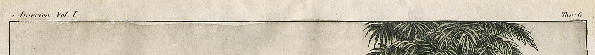 2004.0068.018 Print, detail 2