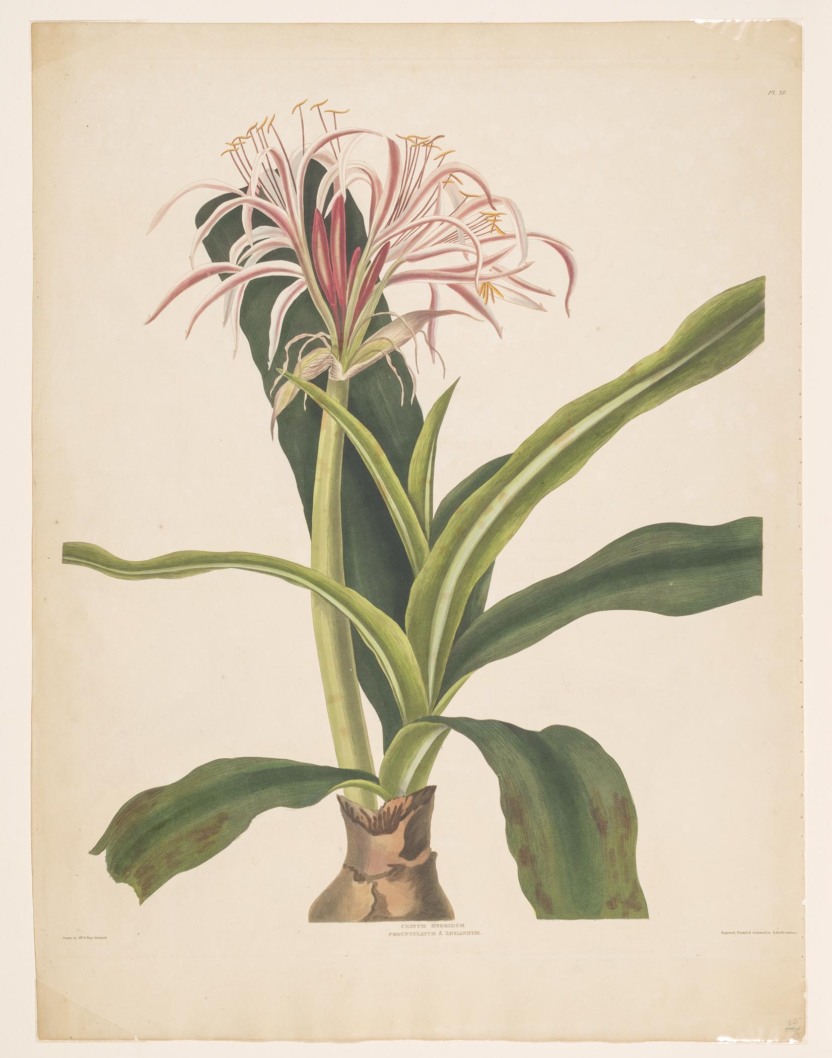 2004.0068.025 Print, view 1