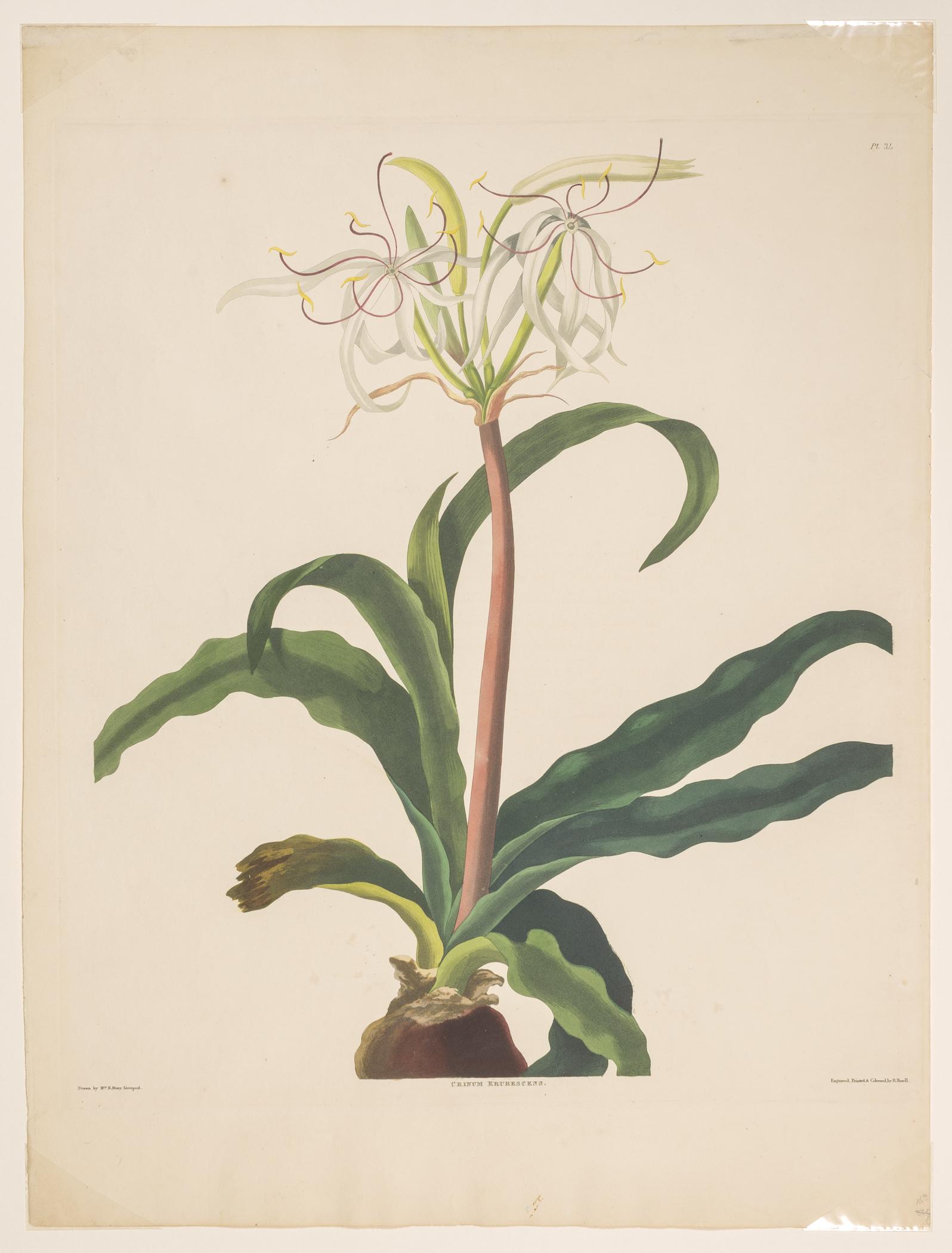 2004.0068.026 Print, view 1