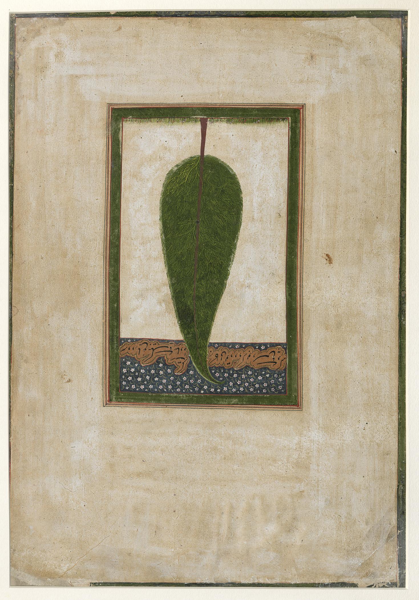 2004.0068.030 Manuscript, view 2, reverse