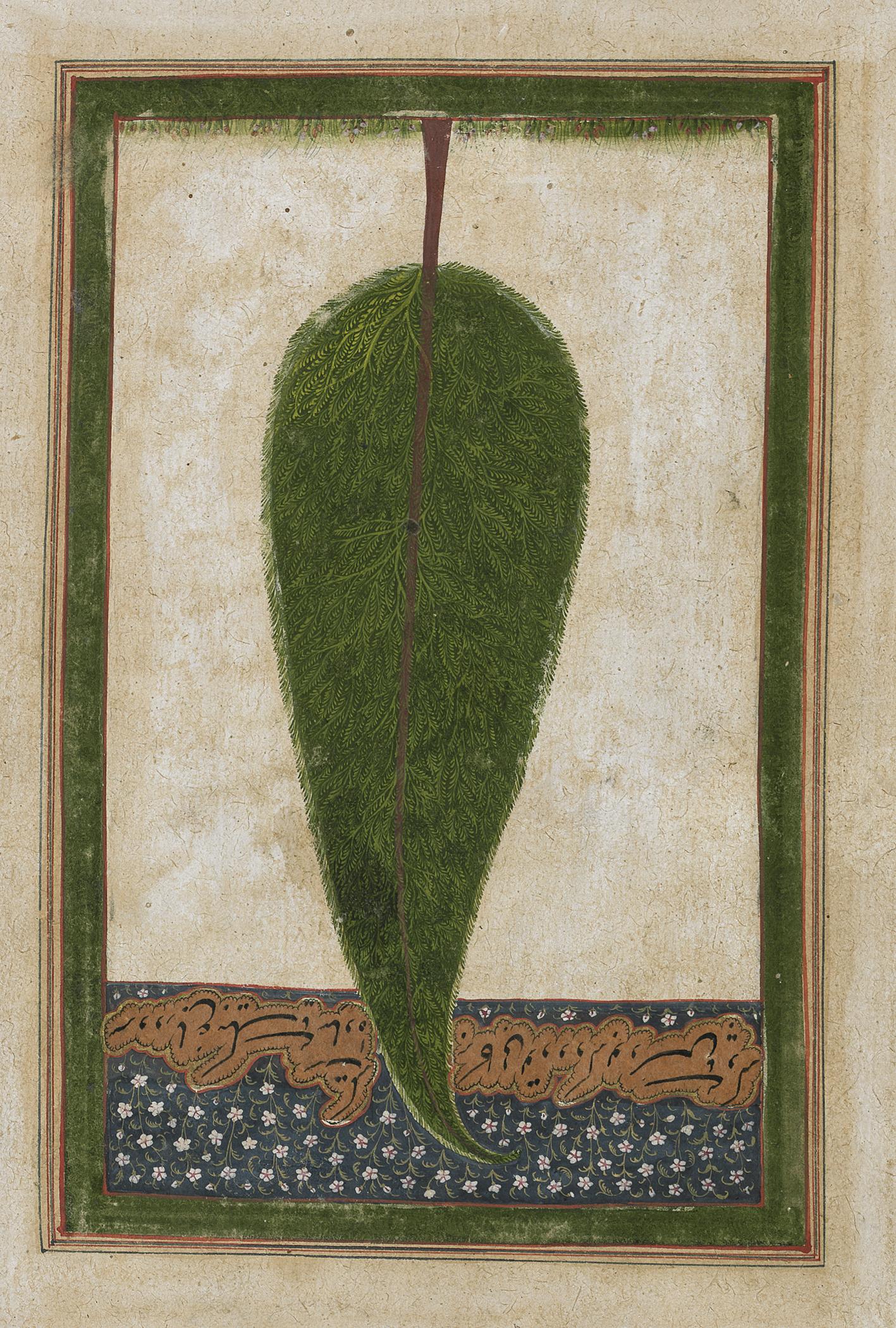 2004.0068.030 Manuscript, detail 1, reverse